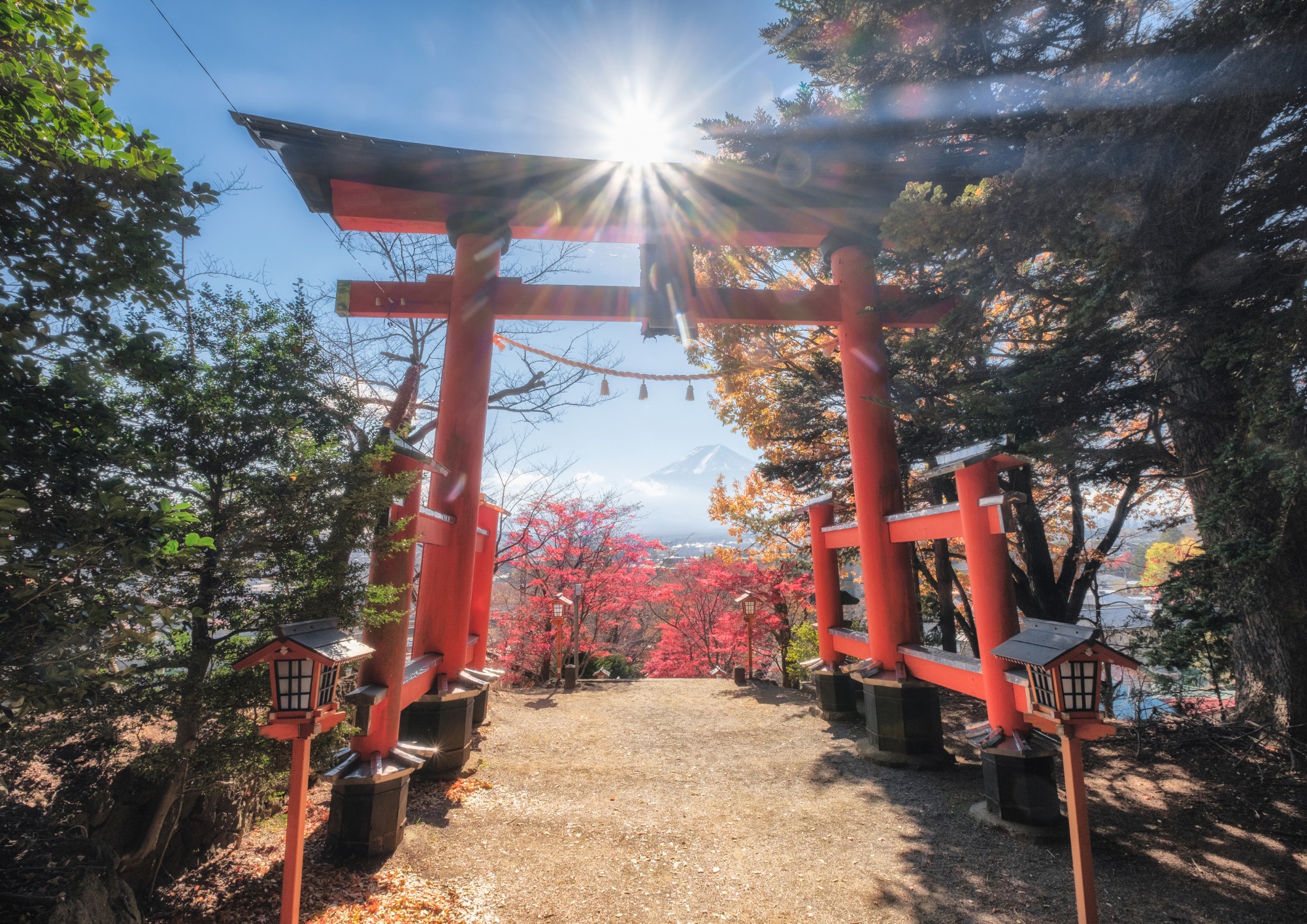 Fuji Mountain Views & Kikyō Shingen Mochi All-you-can-pack Tour