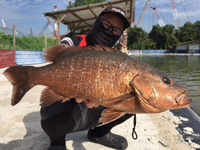 馬來西亞LS Fishing Pond Banting池釣體驗