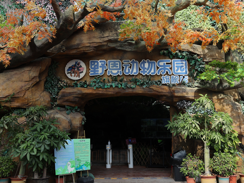深圳野恩動物樂園（寶安海雅店）可觸摸、可擁抱、投餵互動、零距離接觸萌寵