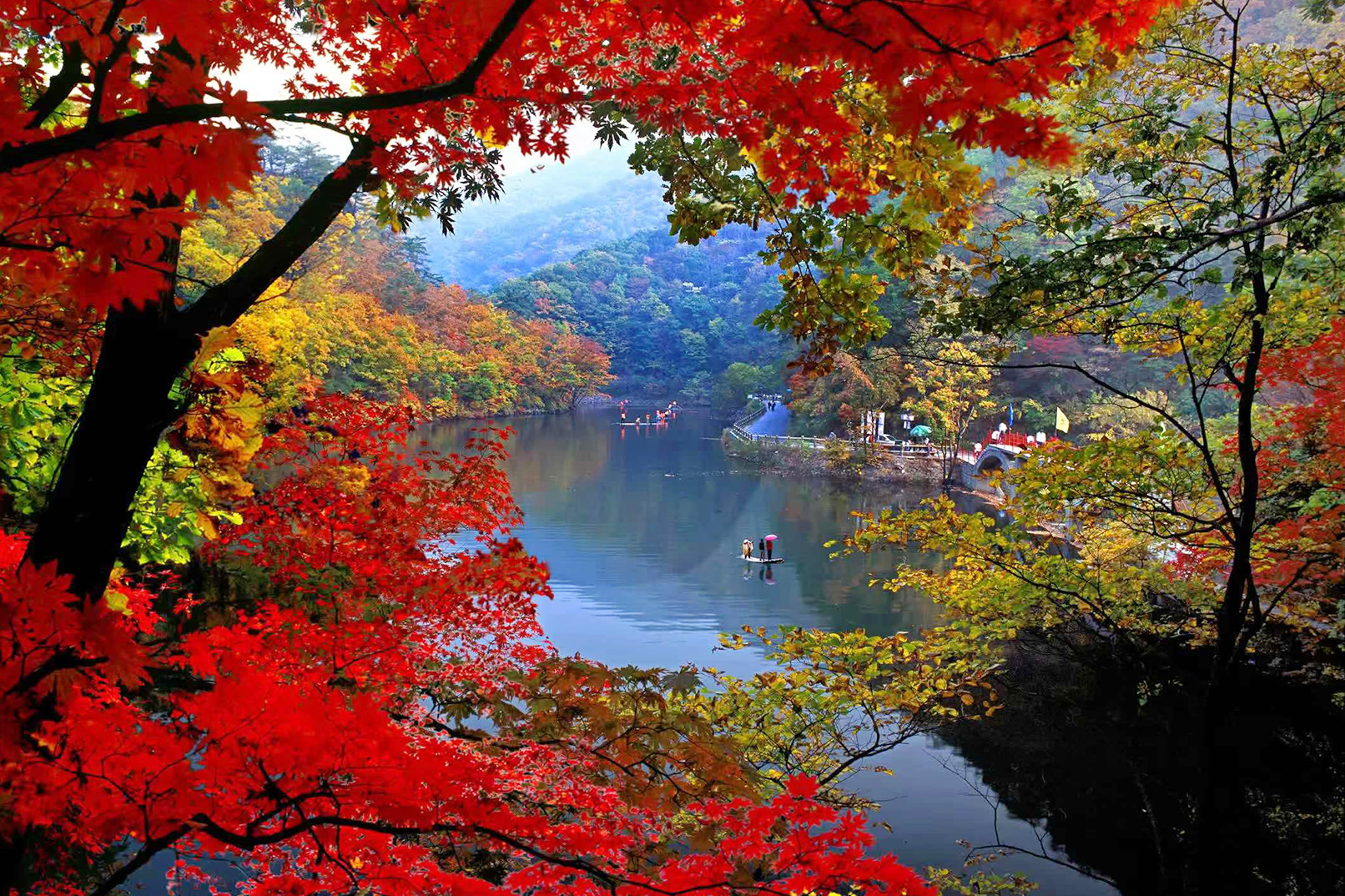 Dreamy Northeast Autumn Scenery 7 Days, 2-8 People Group Tour
