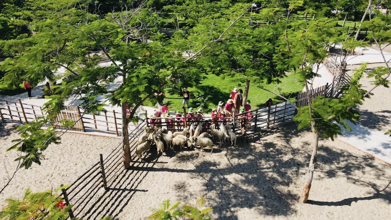 芽莊TTC Doc Let海灘 & 小型動物園門票