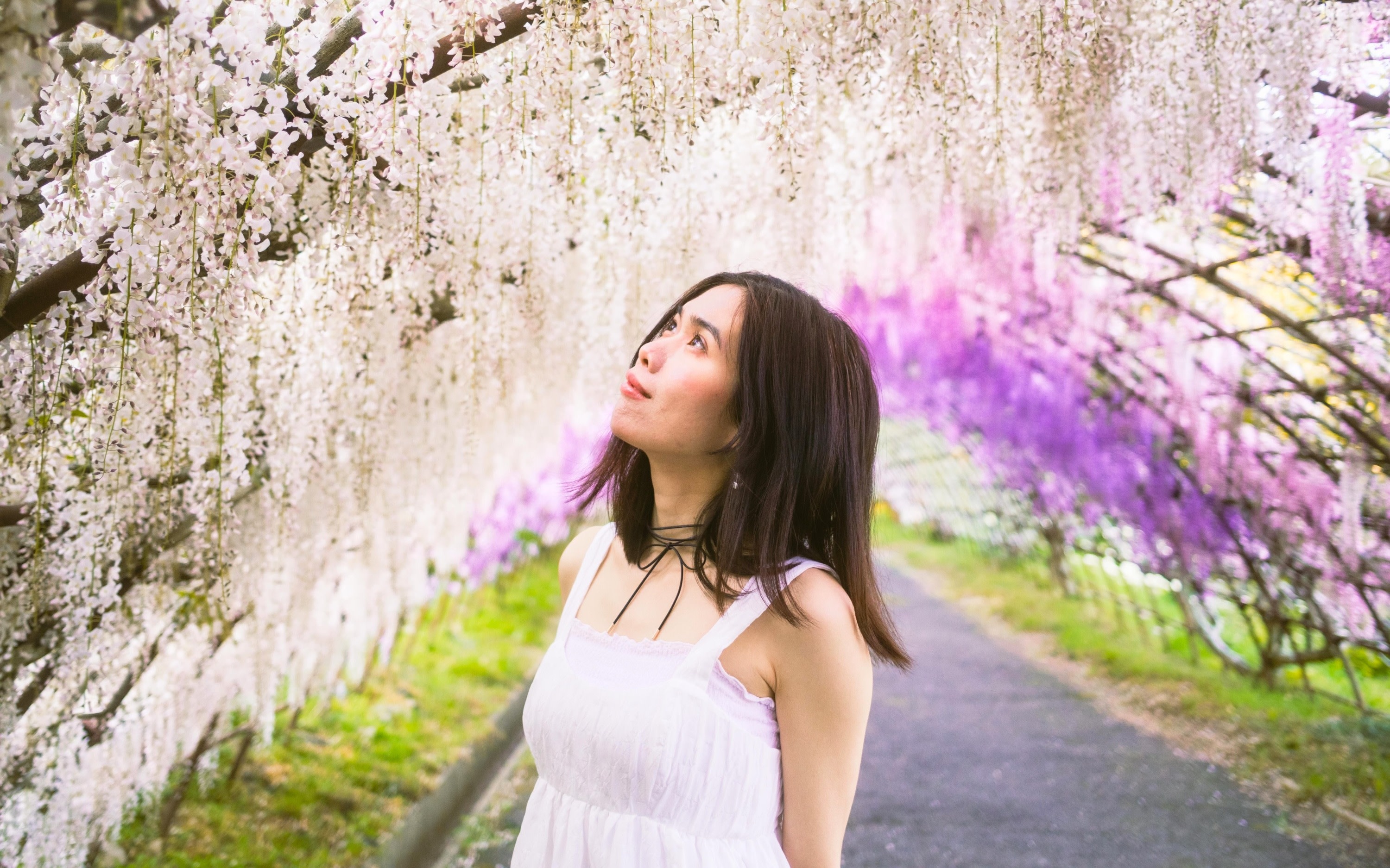 Kitakyushu - Kawachi Wisteria Garden, Mojiko port & Outlet 1Day Tour