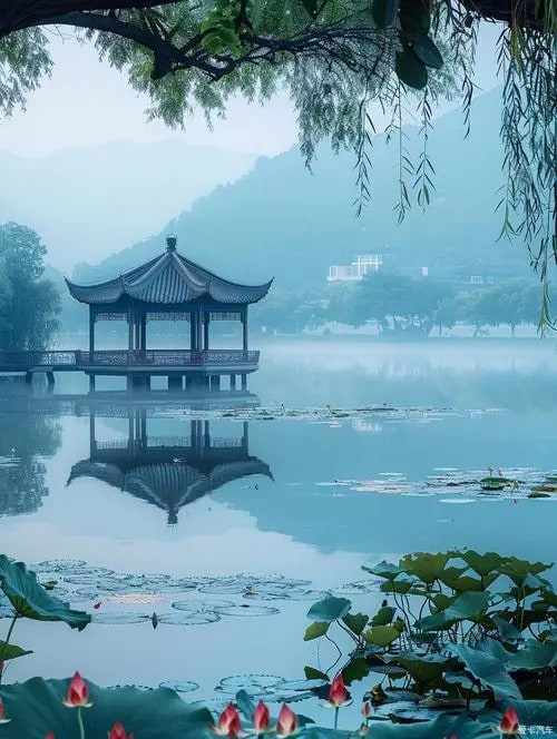 杭州西湖 西溪國家溼地公園  私人導覽一日遊
