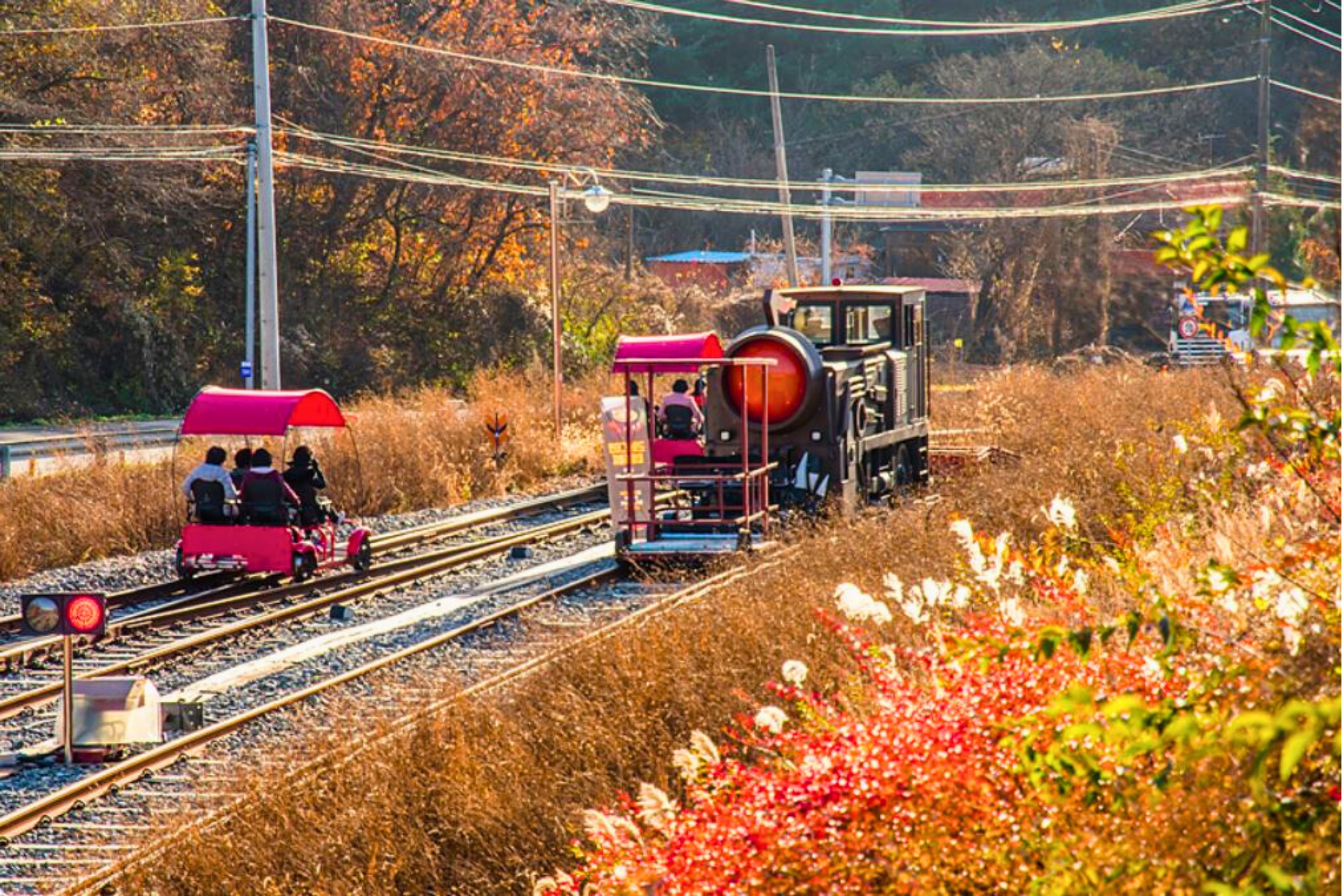 羊駝牧場 / 南怡島 / 江村鐵路自行車 / 晨靜樹木園 / 樂高樂園 /  塗鴉秀 / 猛男秀一日遊