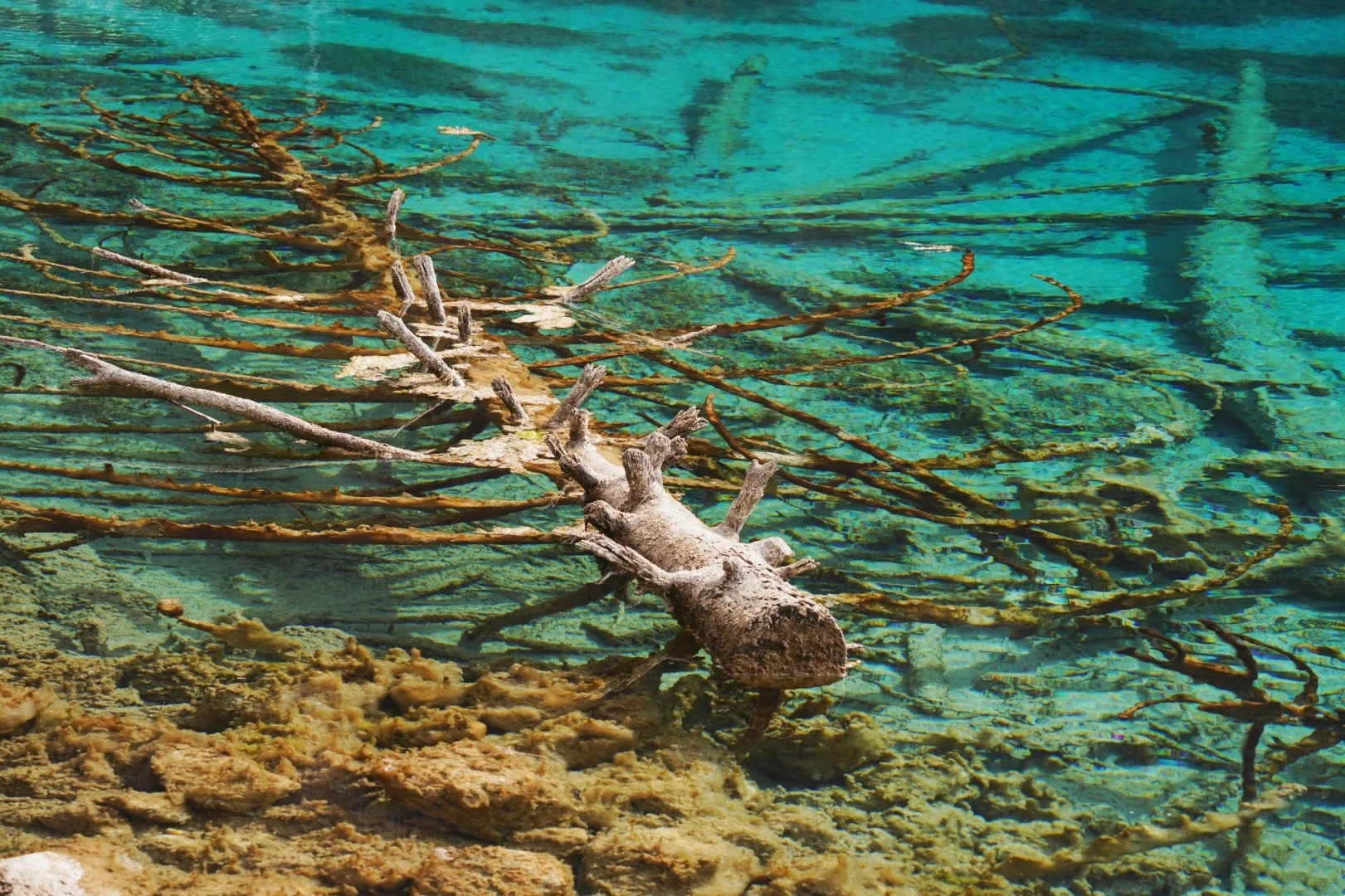 1992 年,被聯合國教科文組織列入《世界自然遺產名錄》 1992 年,被聯合國教科文組織列入《世界自然遺產名錄》