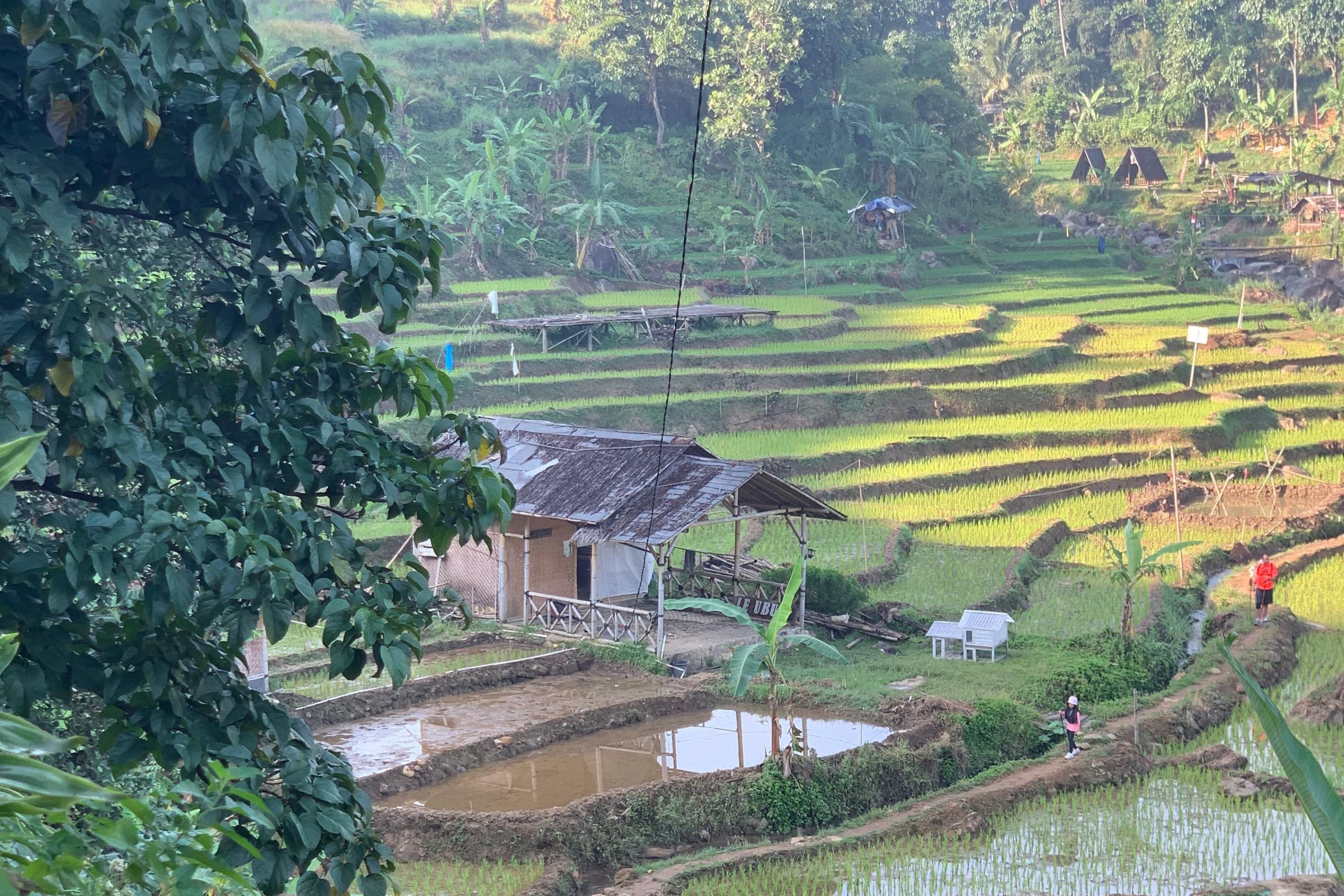 徒步旅行冒險（雅加達出發）