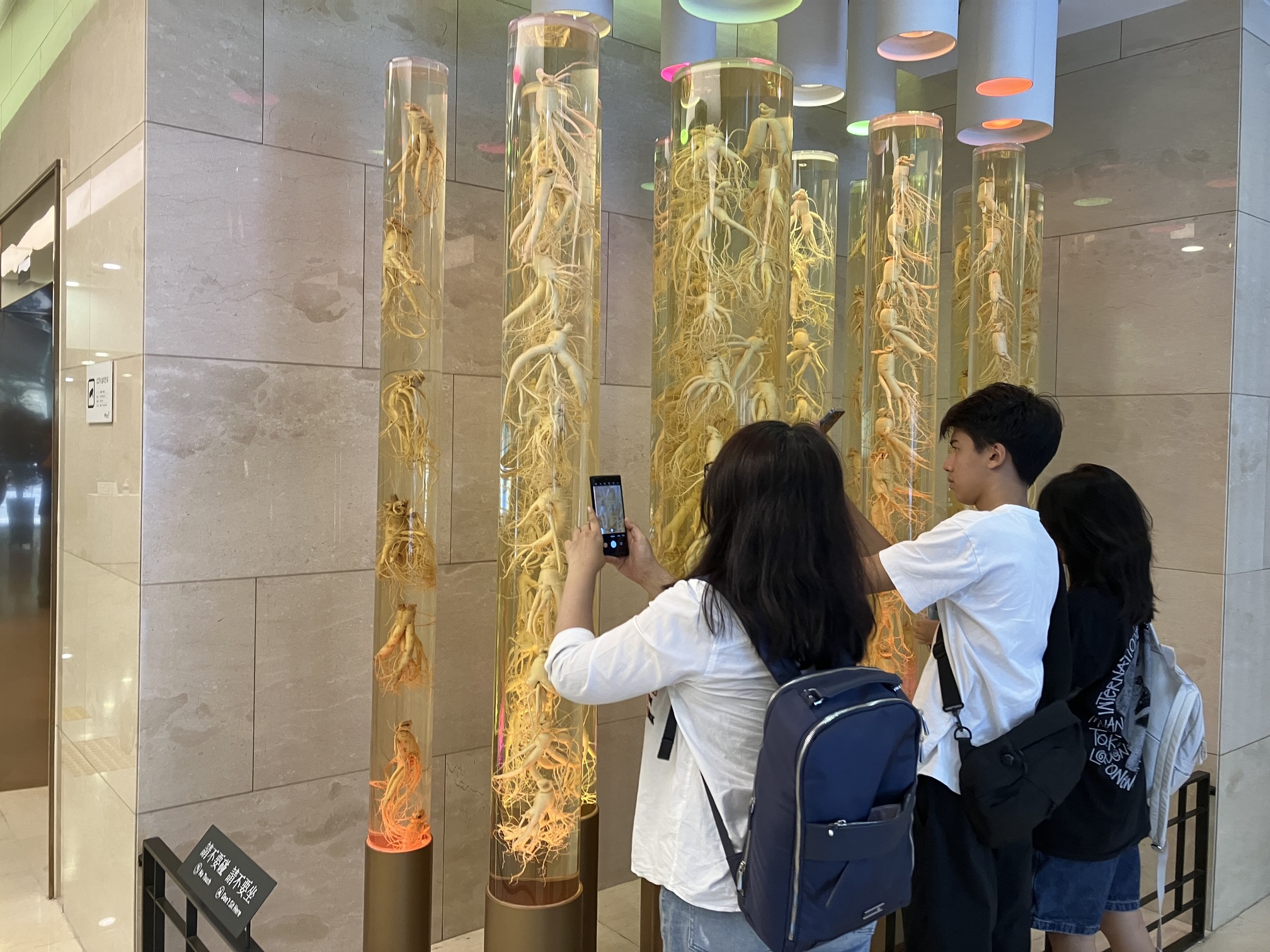 Korean Ginseng Museum (Shopping)
Ginseng is first mentioned in “Ji Jiu Zhang” during Han dynasty of China as herb used widely in the orient for so many diseases and ailments. It is a plant which had been regarded as a panacea, a cure all. In the studies, 