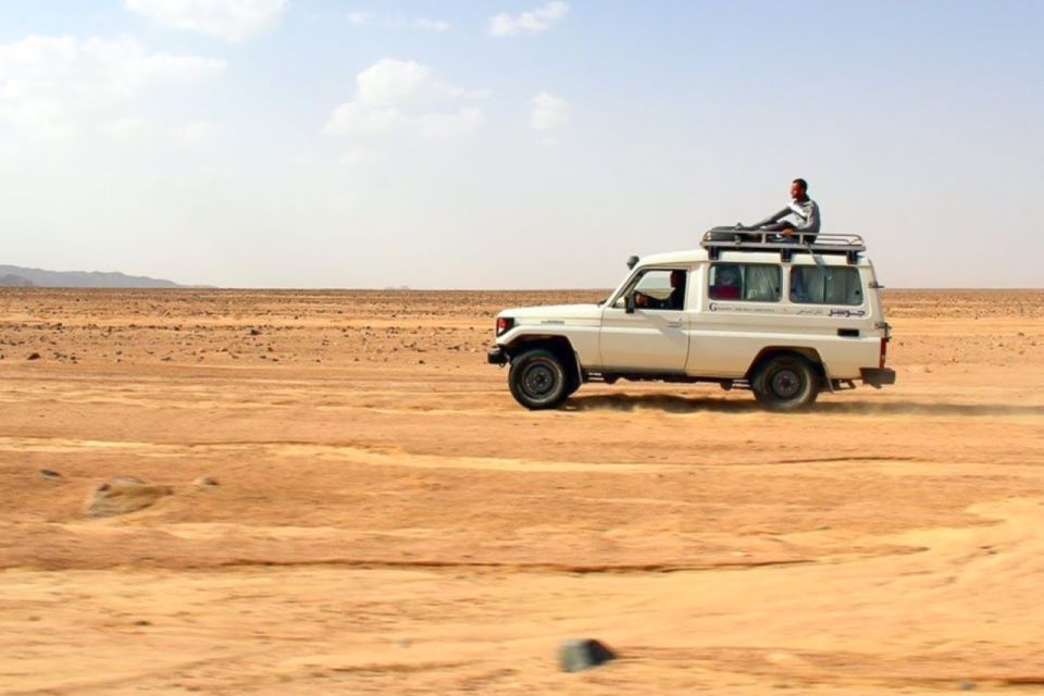 Sahl Hasheesh：四輪車、吉普車、越野車、駱駝（含晚餐和表演）
