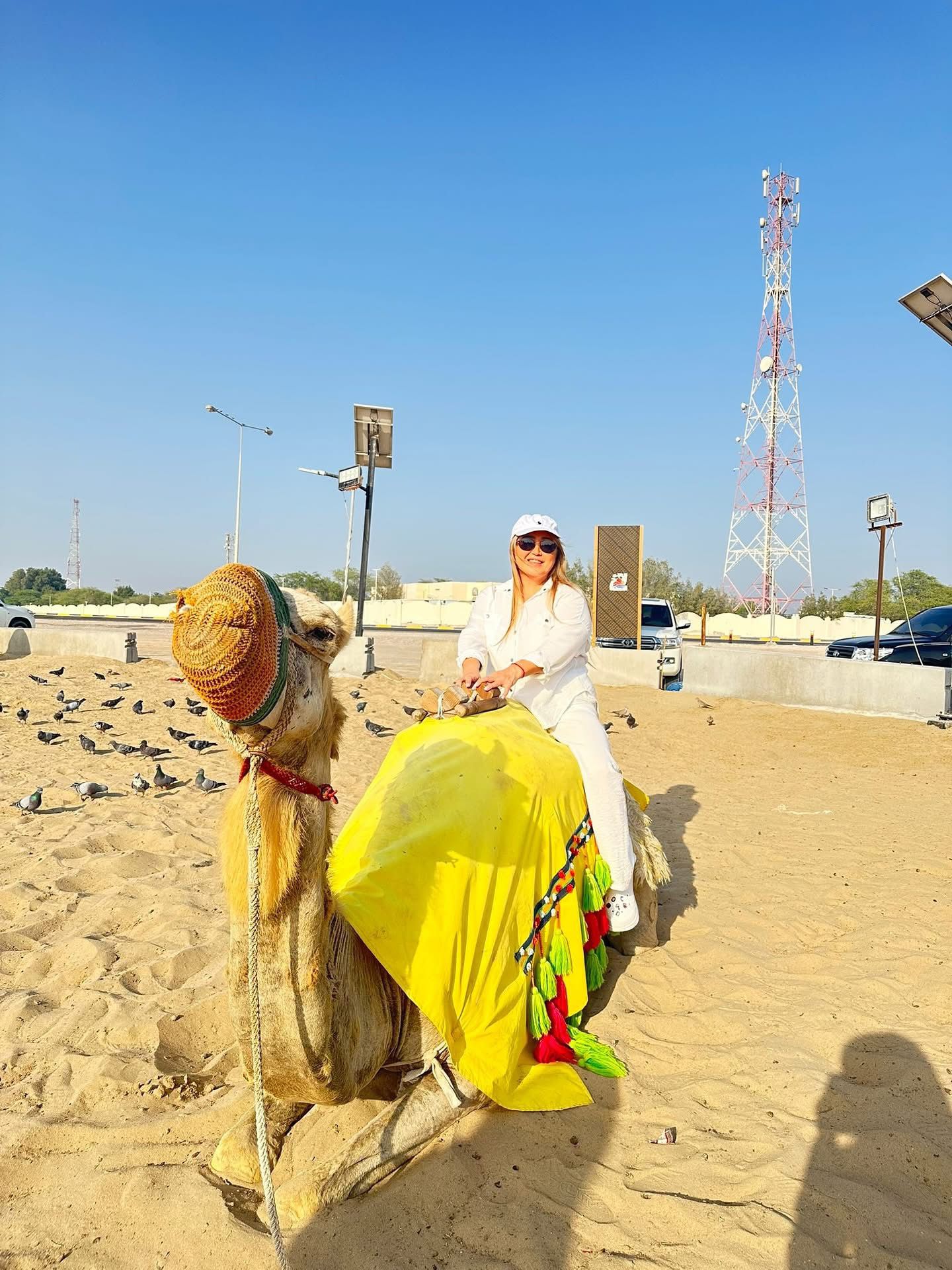 Doha Desert Safari Half-Day Private Adventure with Dune Bashing