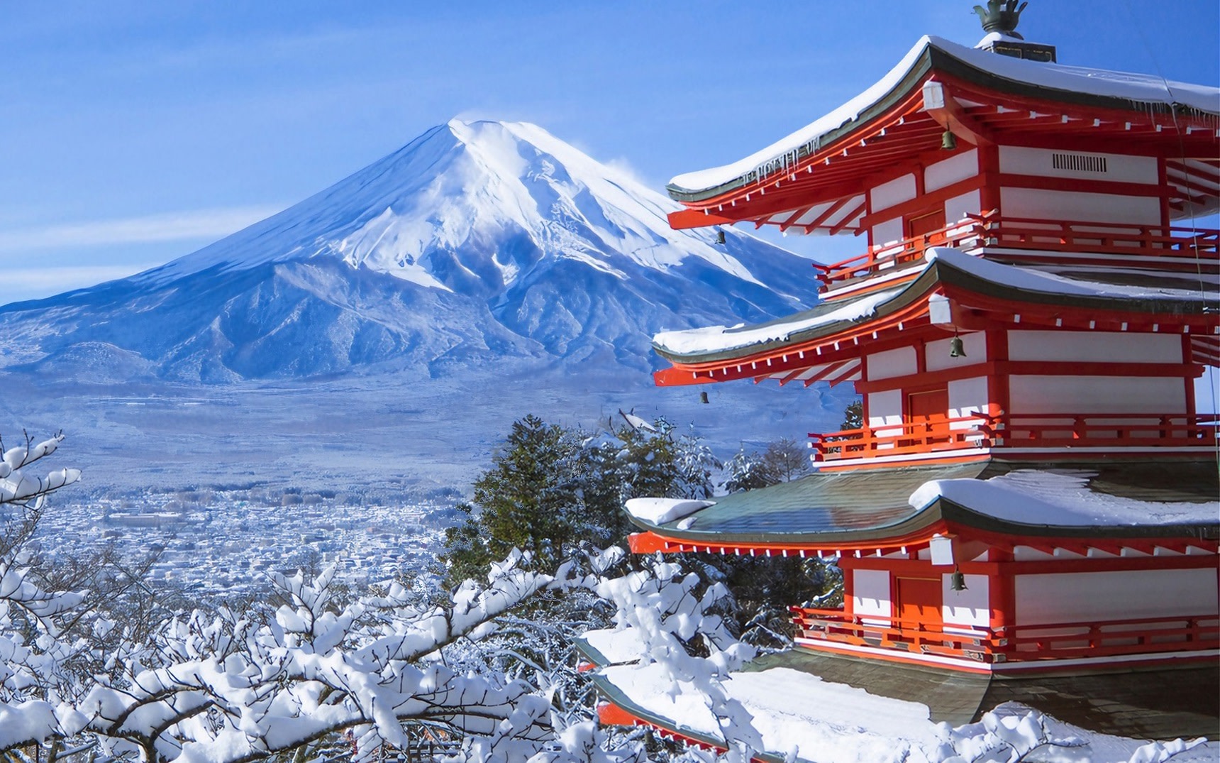 [Mount Fuji Popular Spots Day Tour] Arakurayama Sengen Park & Lake Kawaguchi Oishi Park & Oshino Hakkai & Lawson & Hikawa Clock Shop (Departure from Tokyo)