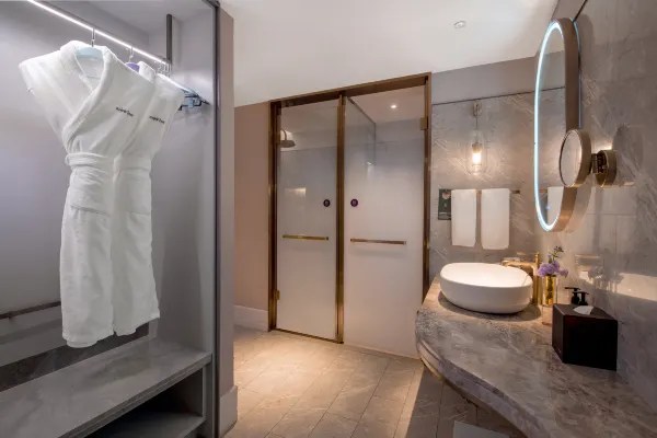 Hotel guest room bathroom area environment display image