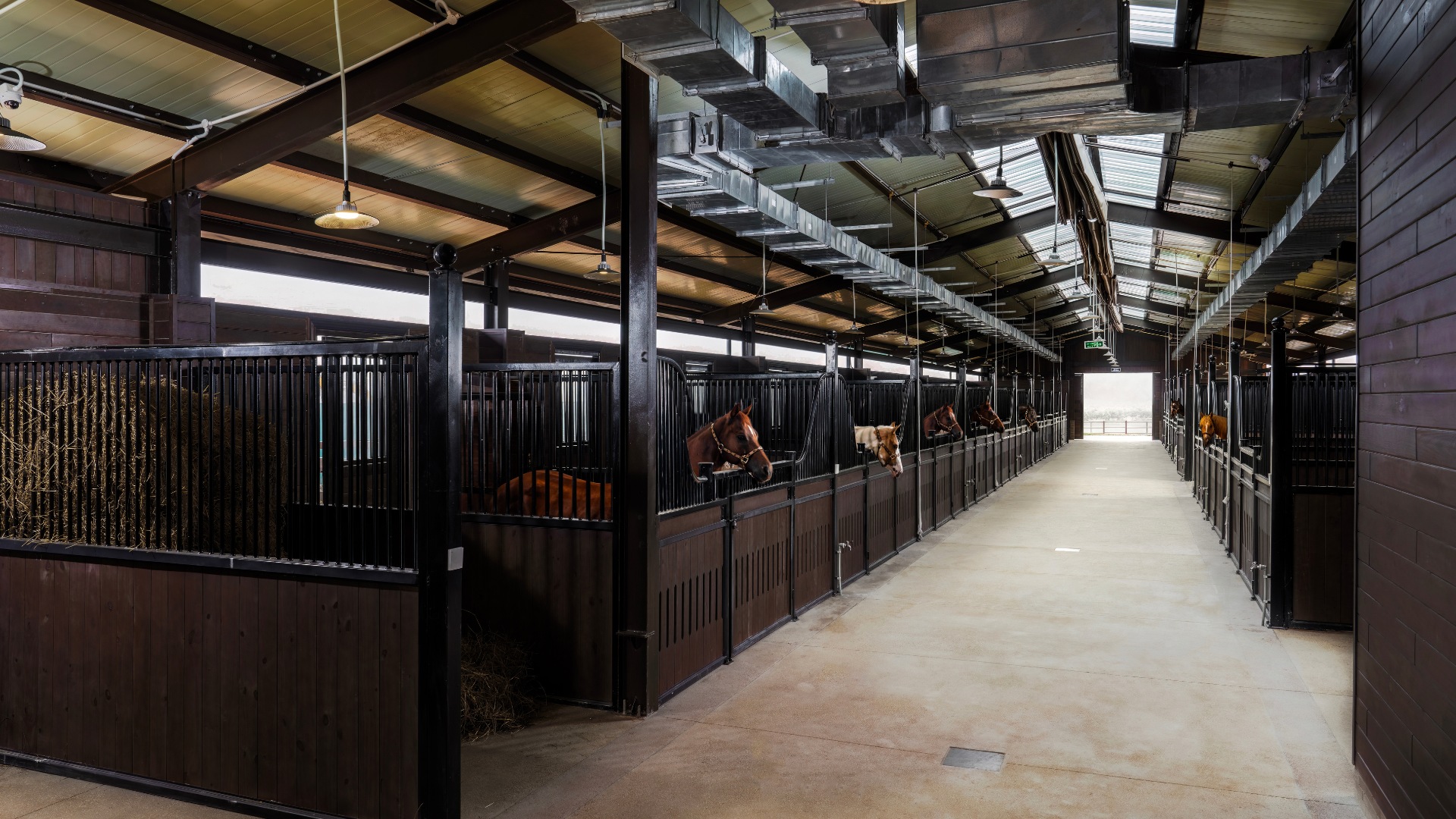 Vinpearl Horse Academy Ticket in Vu Yen  