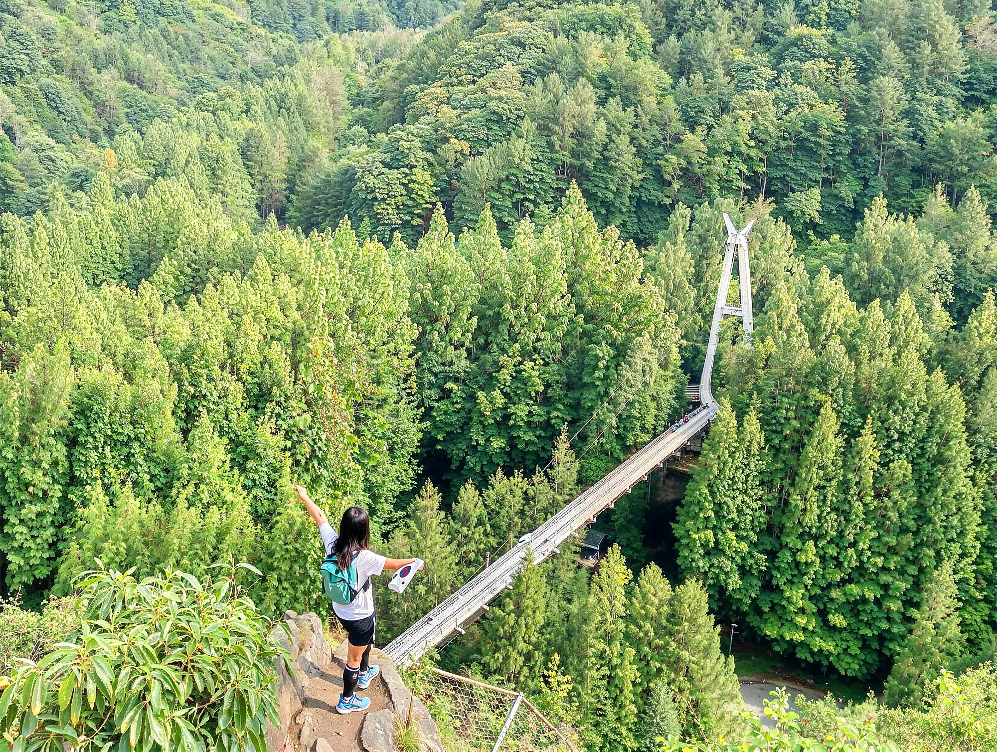 private tour optional - Jangtaesan Mountain (summer)