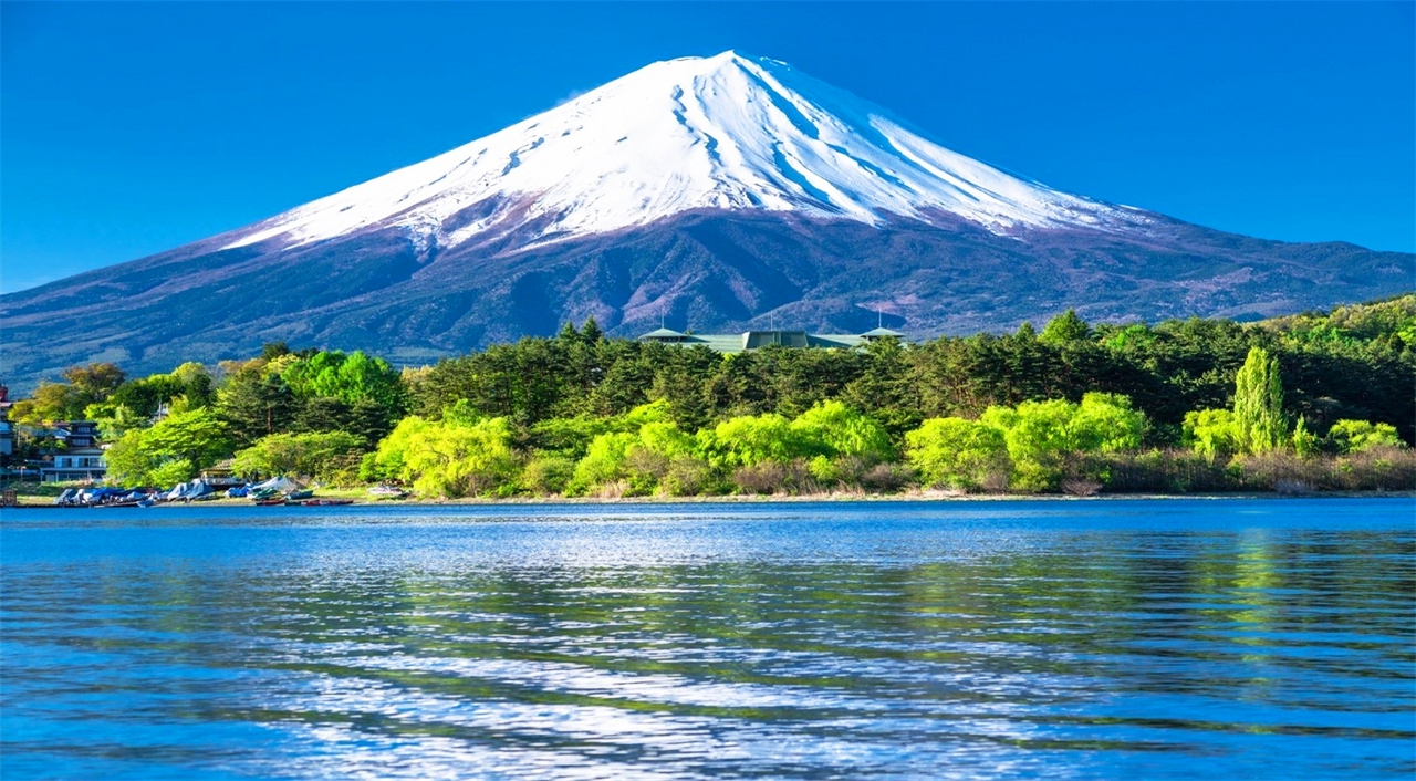 富士山探索之旅-新倉山淺間公園·天梯小鎮·忍野八海·河口湖大石公園·西湖療愈里根場一日遊