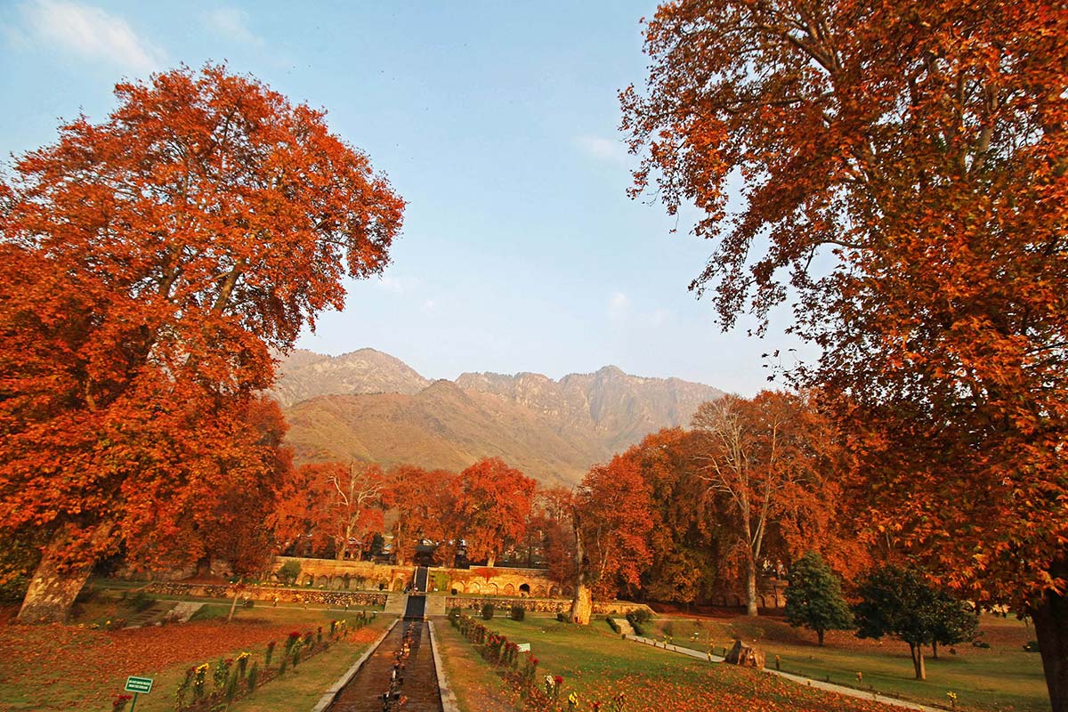 Mughal Garden Srinagar