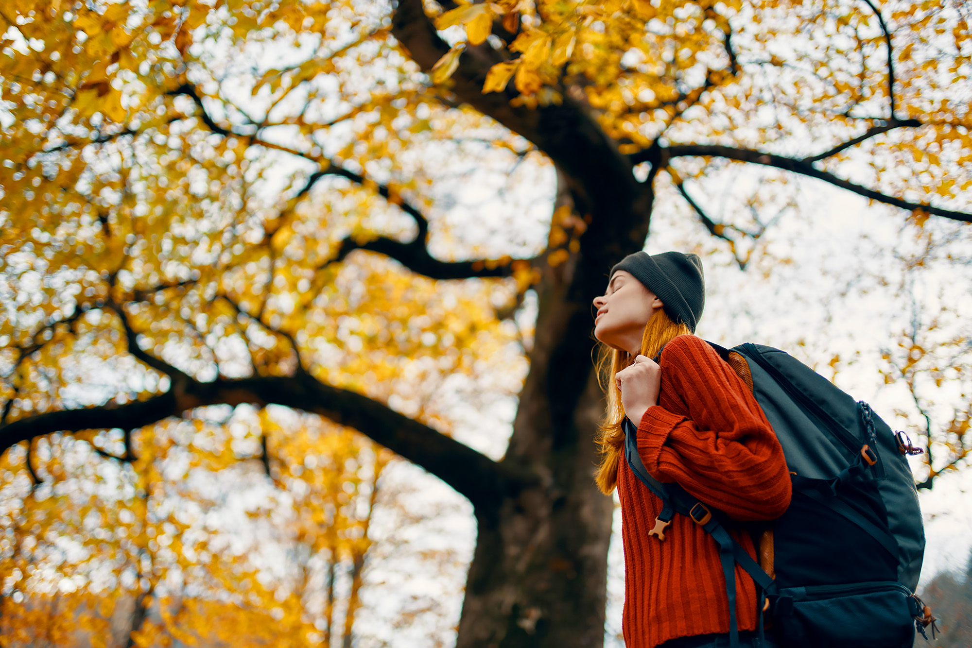⛰️ 漫步秋日紅葉小徑，沉浸於大自然中。