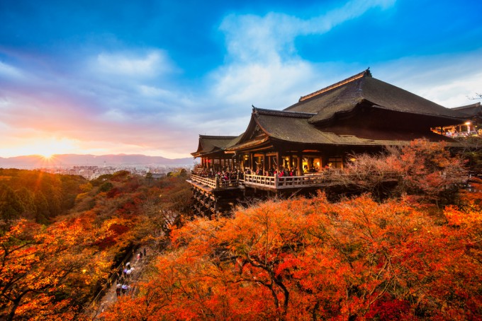 【大阪出發｜京都奈良經典＆山區秘境小團】伏見稻荷・奈良公園 or 嵐山・三千院・貴船神社 雙方案可選
