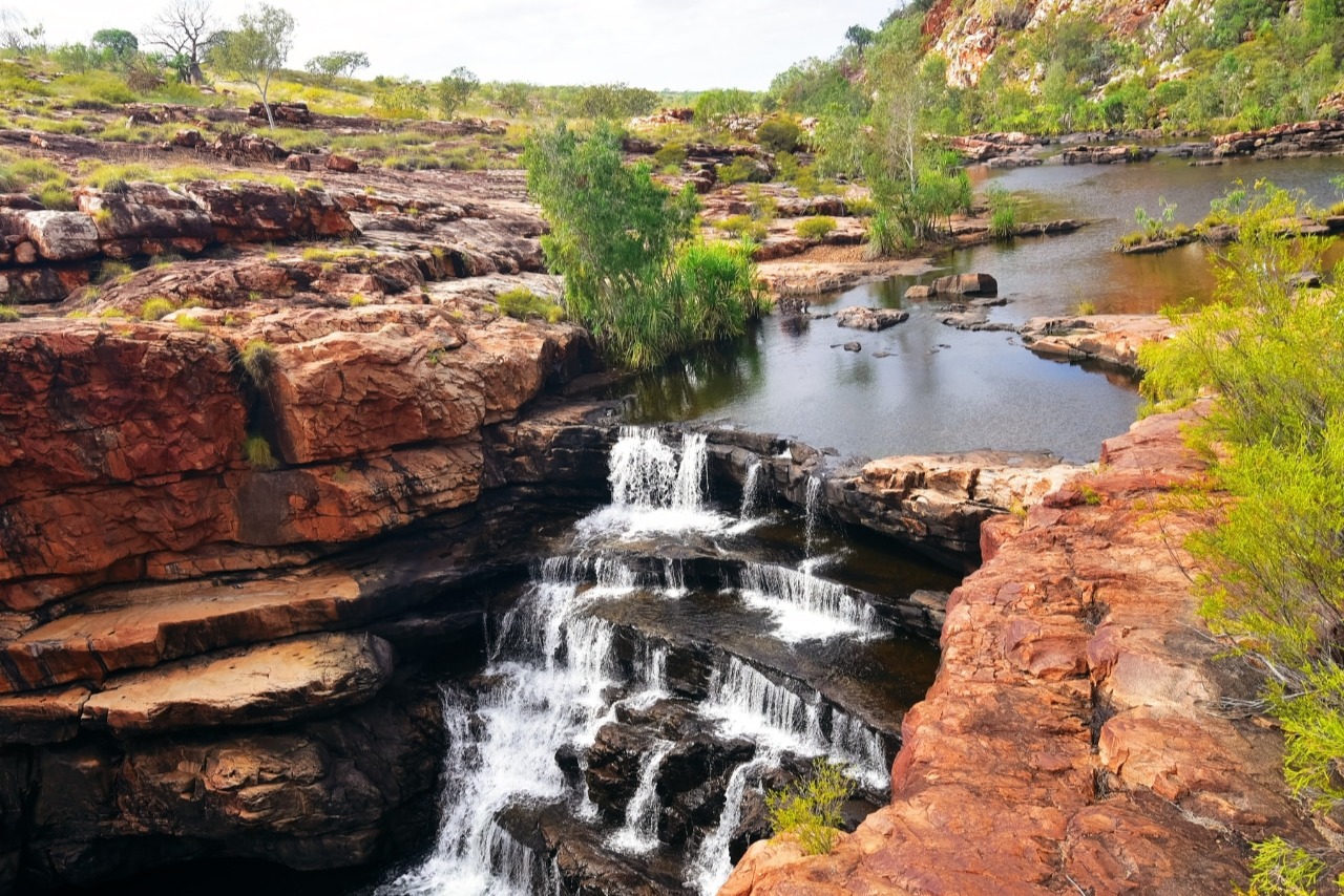 Scenic Helicopter Flight over the King Leopold Range: Golden Goose