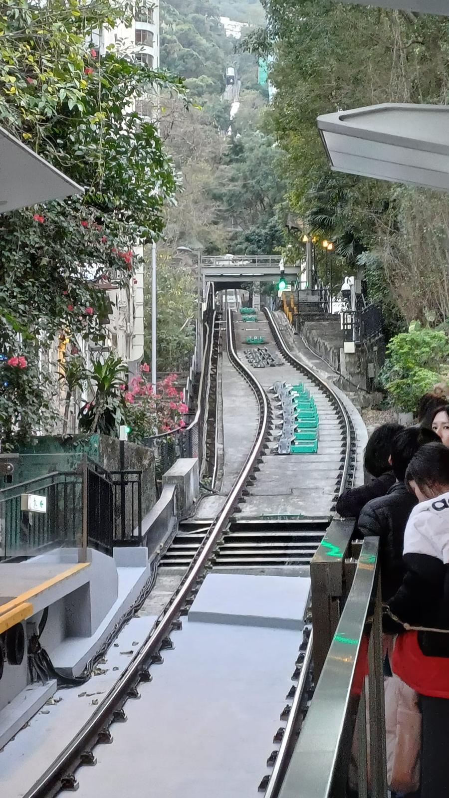 香港精彩山頂、維港及市區夜遊 | 含山頂纜車、天星小輪單程票