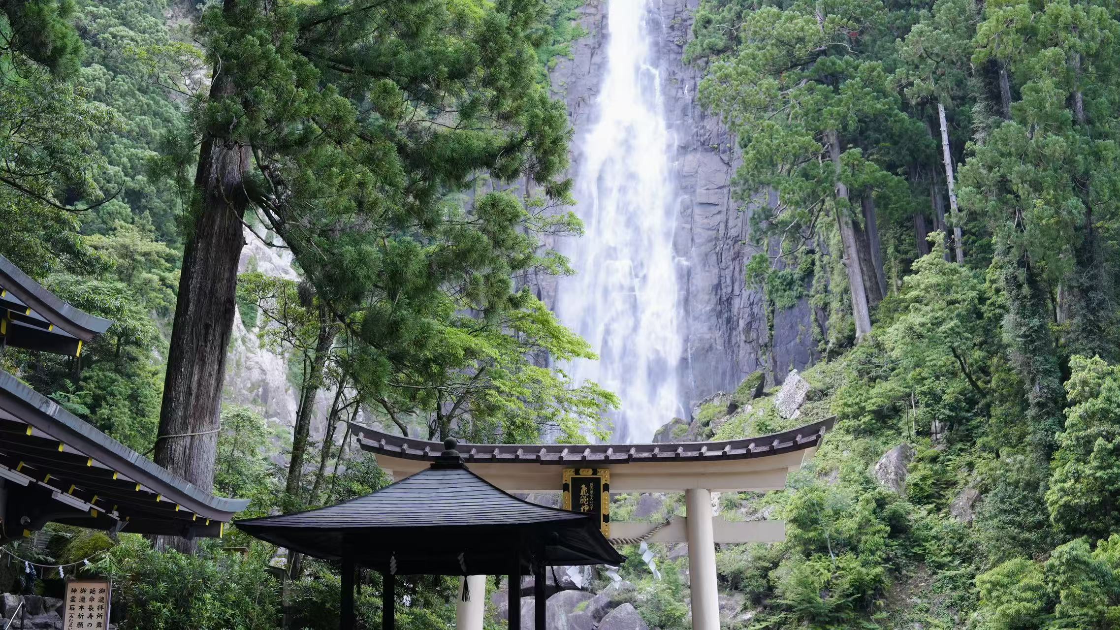 飛龍神社，瀑布轟鳴中許願，感覺願望都能飛起來！