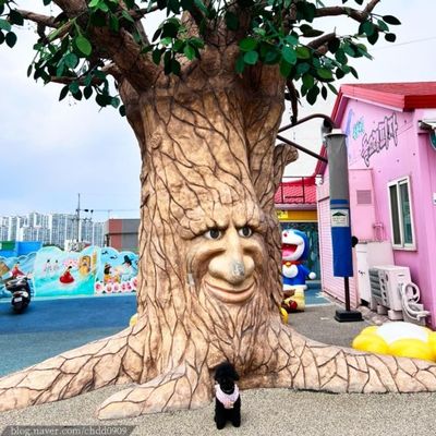 在當地鄰里捕捉守護我們的樹爺爺