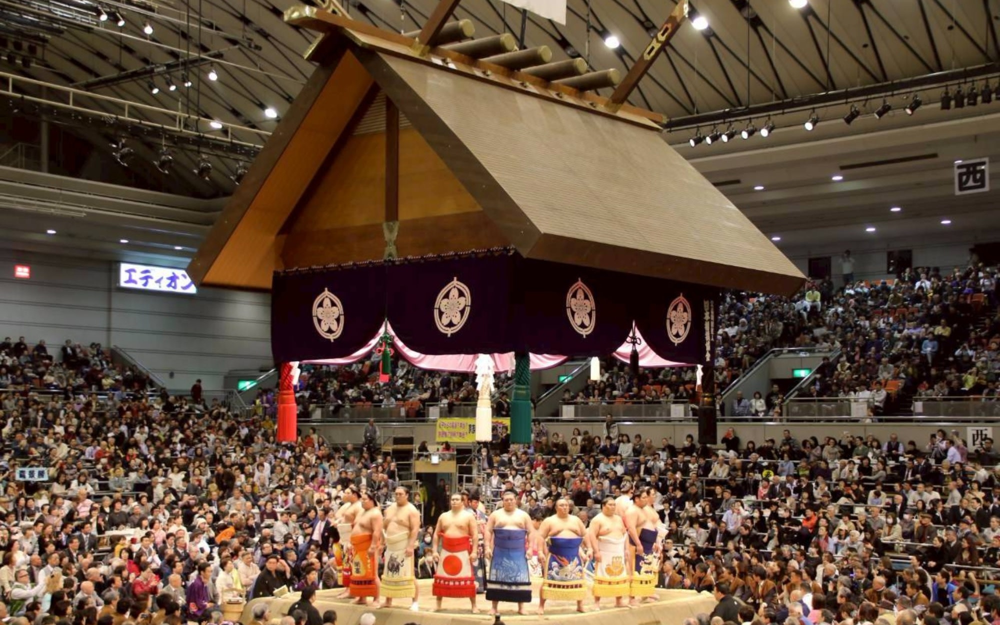 Grand Sumo March Tournament spectating and practice experience tour (with English commentary) (Osaka)