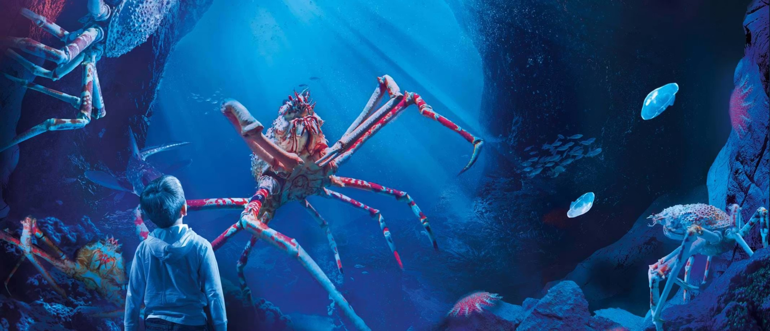 SEA LIFE Manchester Ticket