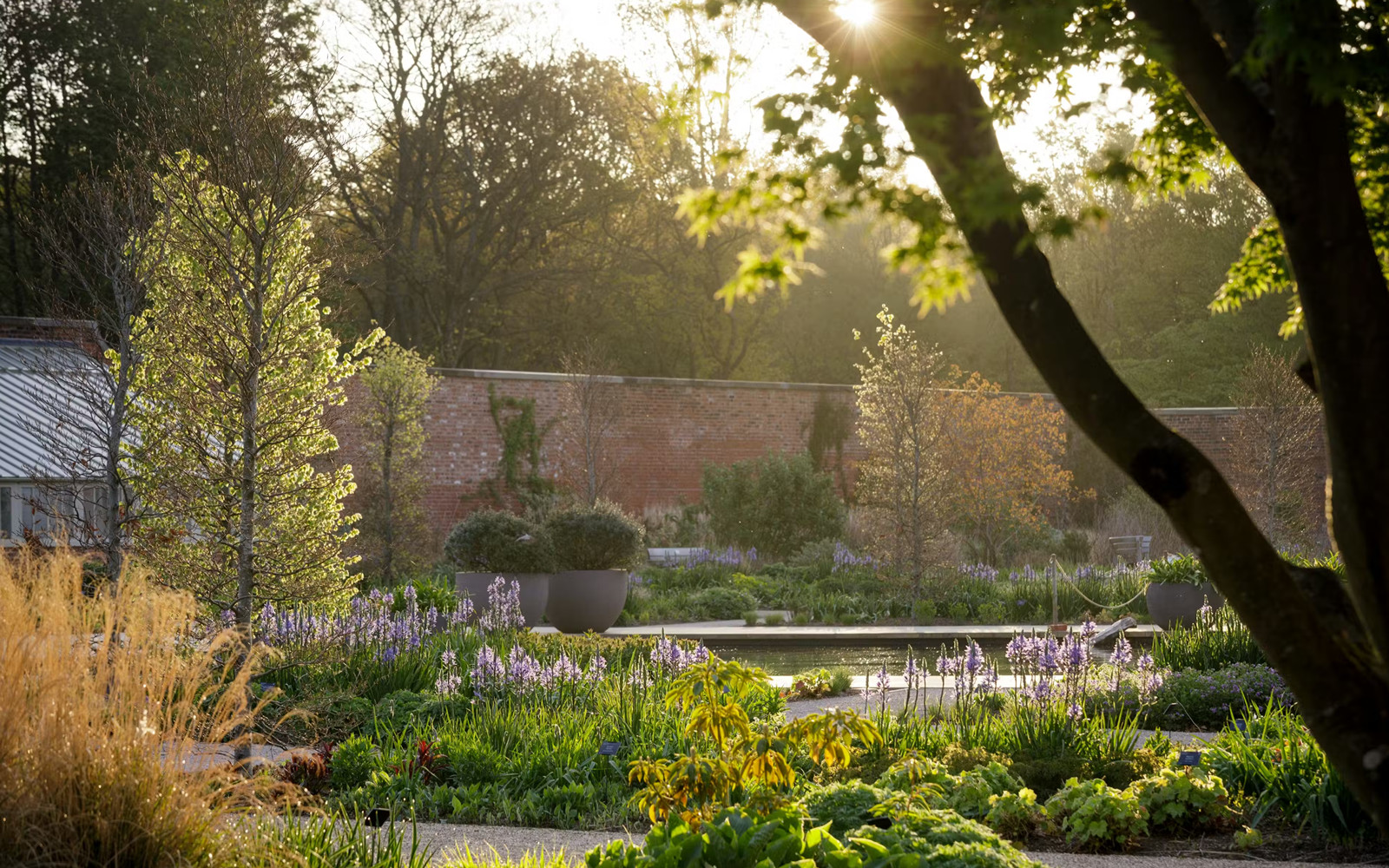 RHS Garden Bridgewater Ticket