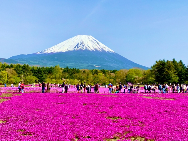 富士山×箱根打卡聖地 多方案一日遊
