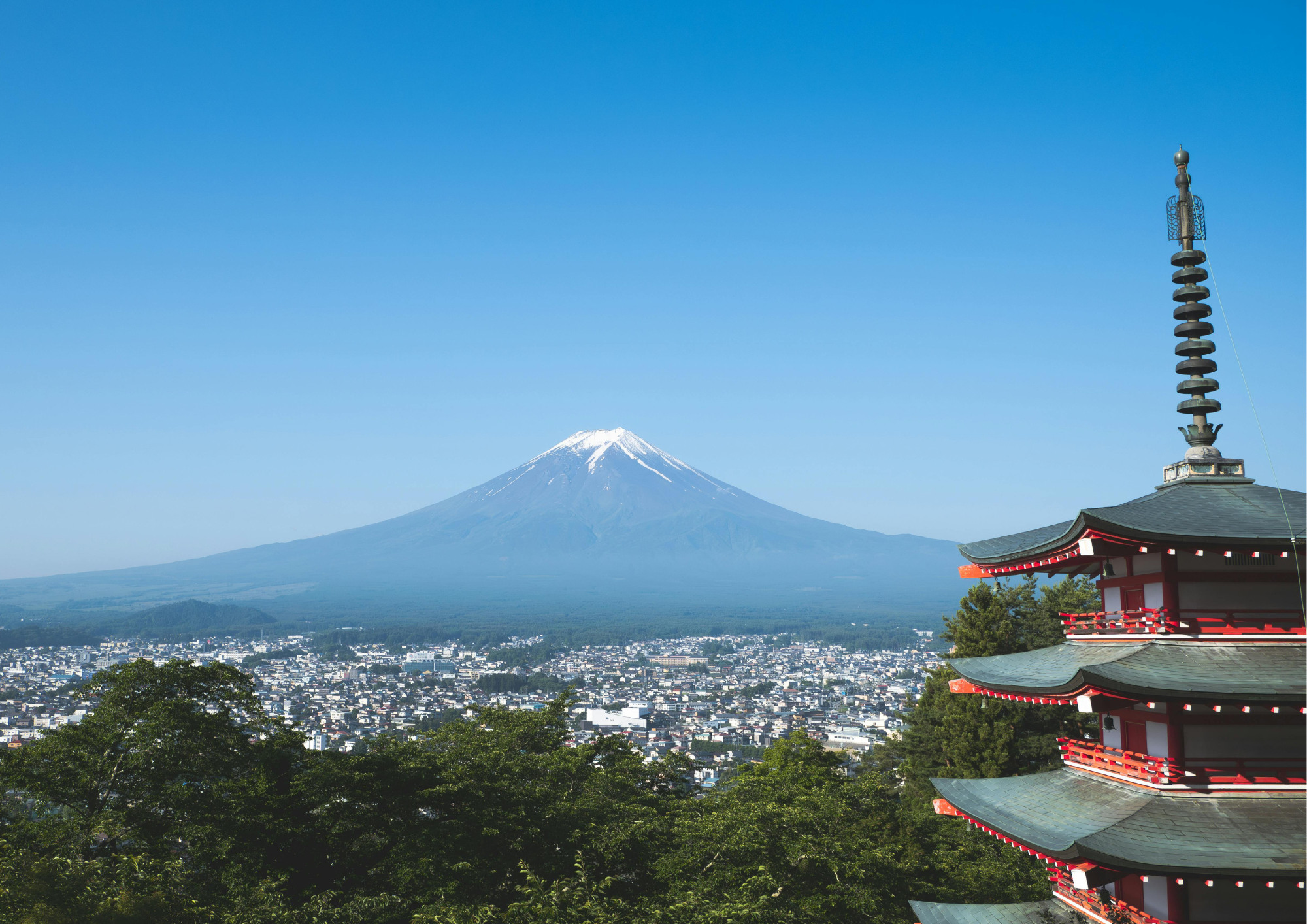 Fuji Mountain Views & Kikyō Shingen Mochi All-you-can-pack Tour