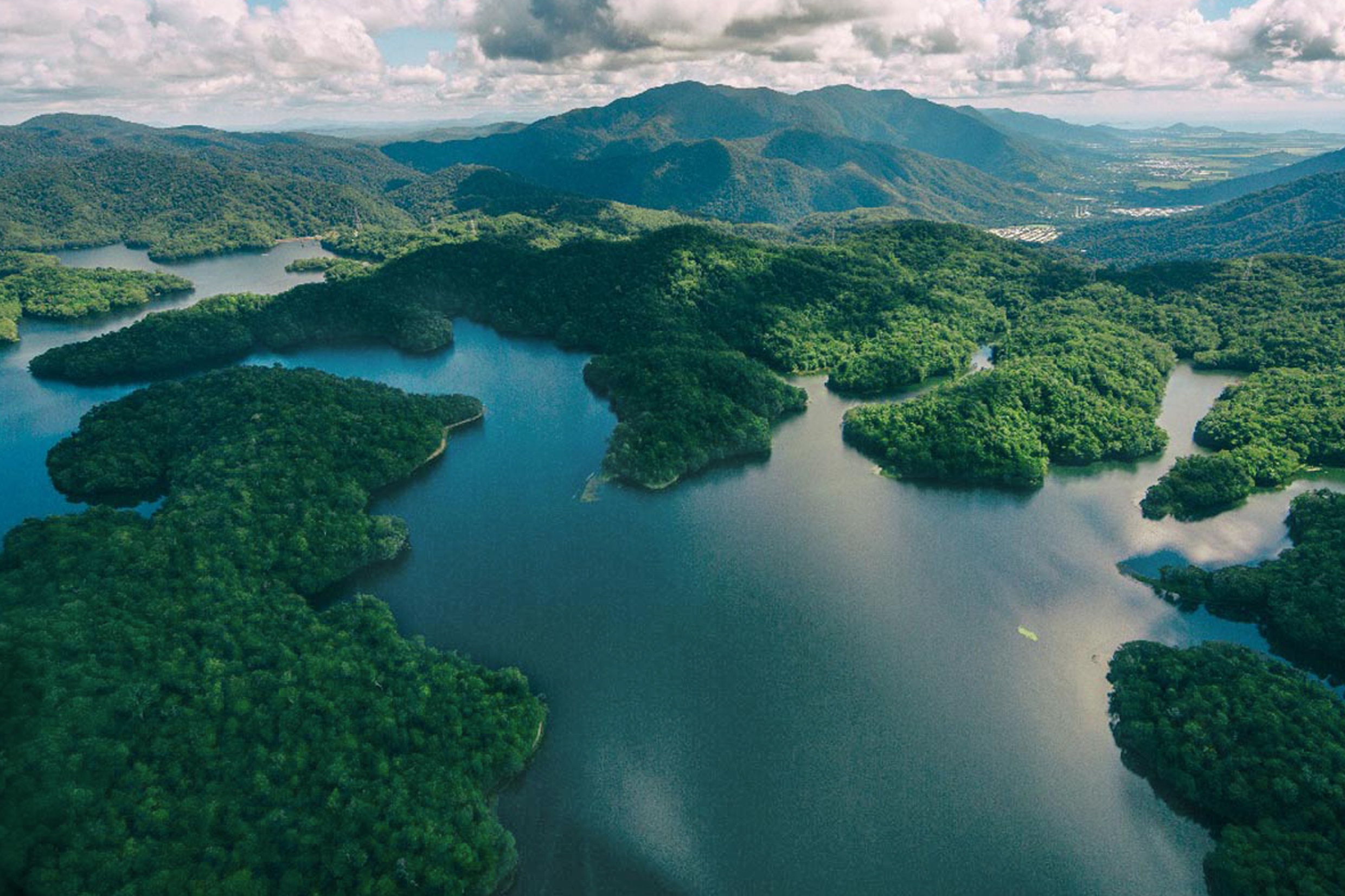 City and Rainforest Scenic Helicopter Flight from Cairns