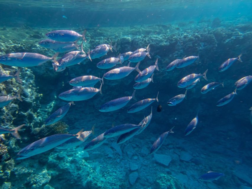 Marsa Alam: Hamata Islands Snorkeling Trip with Lunch