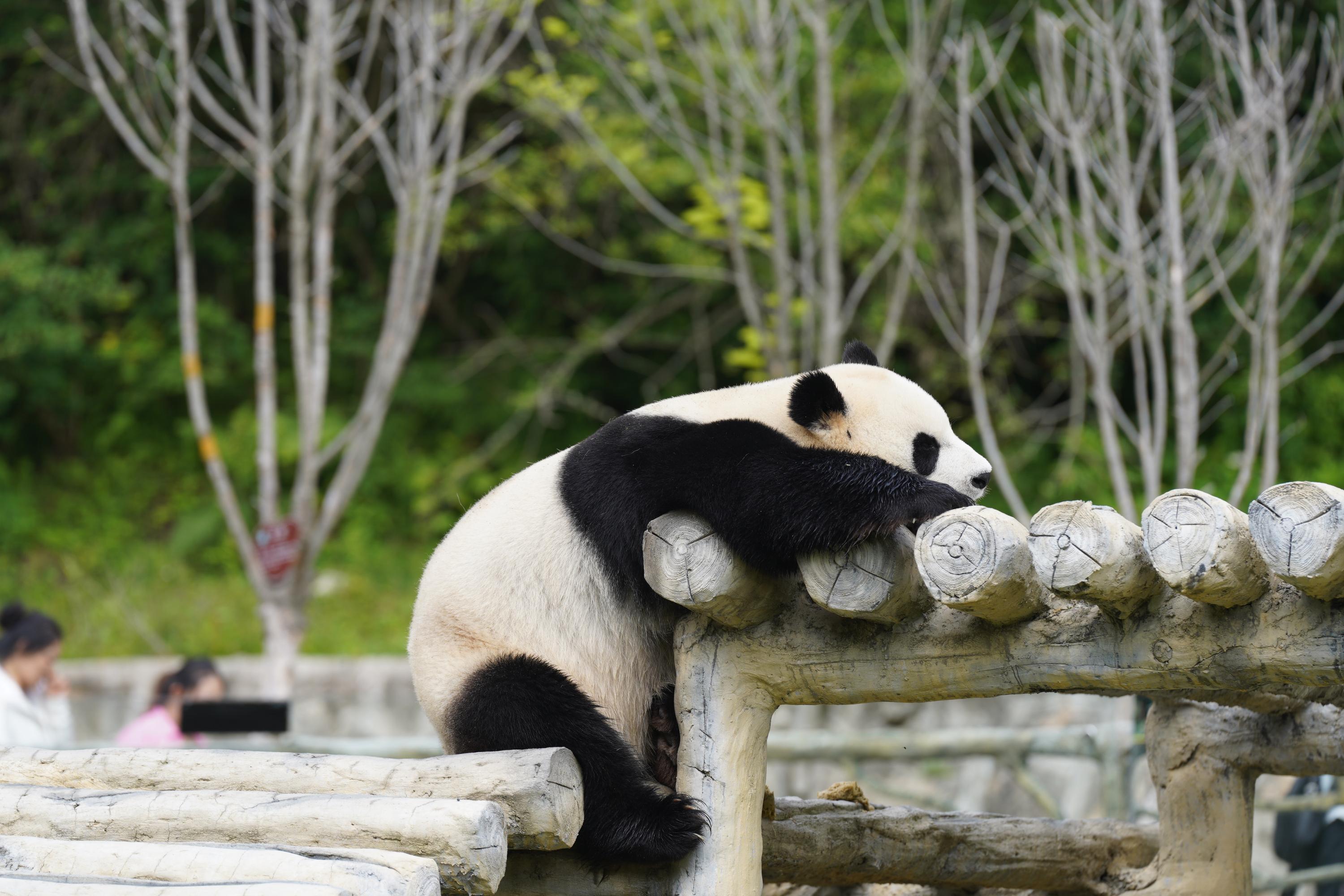 Ngawa Jiuzhaigou Valley Private Day Tour with Tickets