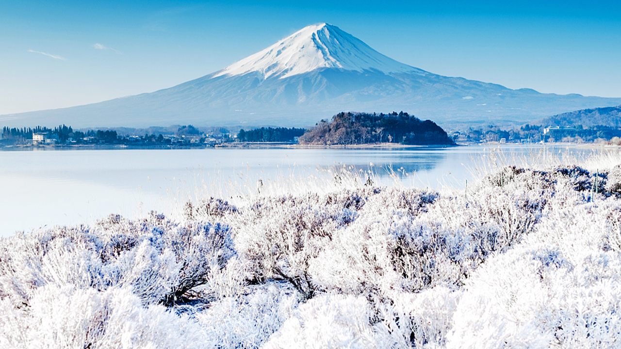 秋冬雖無花海,卻能捕捉湖面倒映雪頂的 “逆富士”,搭配園內觀景臺,隨手就能拍出富士山與自然交融的絕美大片。 秋冬雖無花海,卻能捕捉湖面倒映雪頂的 “逆富士”,搭配園內觀景臺,隨手就能拍出富士山與自然交融的絕美大片。