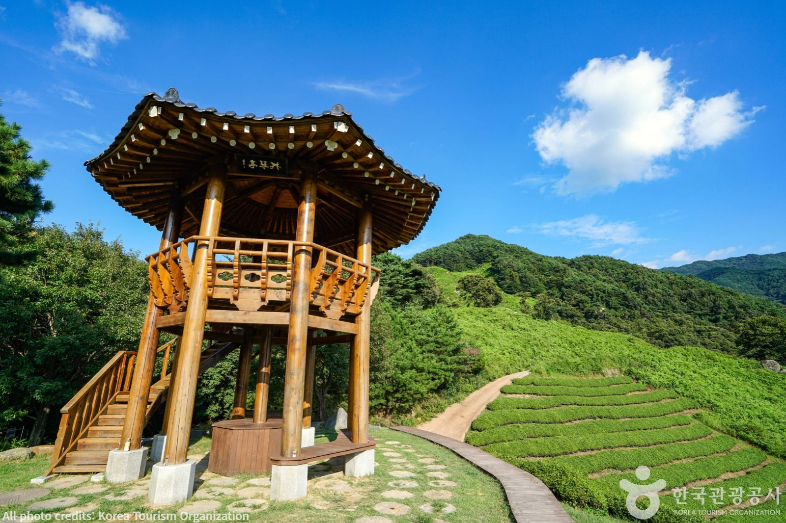 Jeonggeum Tea Field
