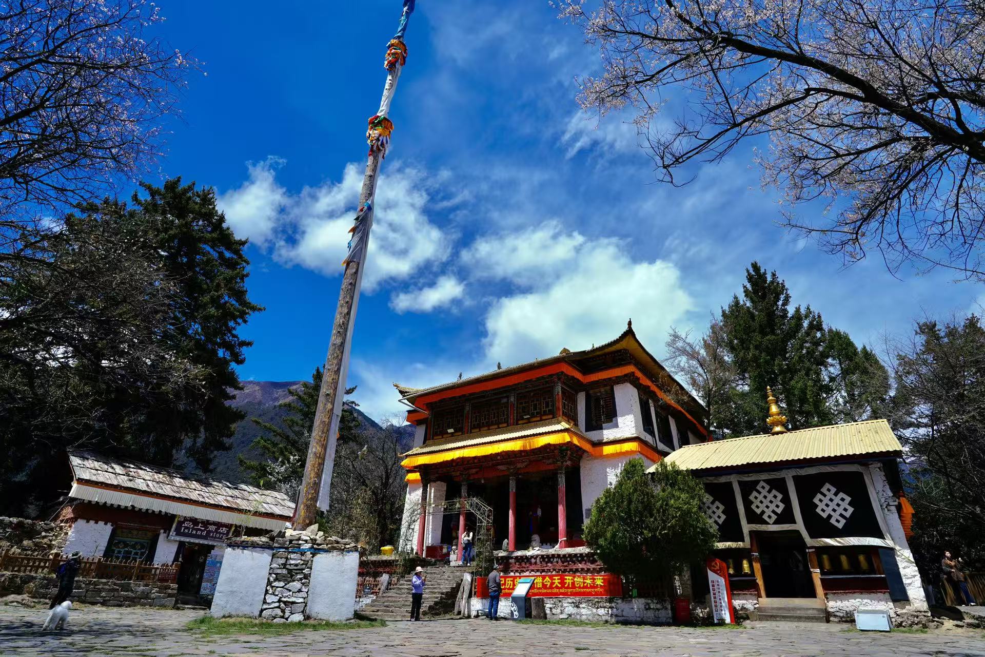 巴松措湖心措宗寺藏風濃郁,白牆搭配橙黃簷飾,門前立高大經杆。古寺被花樹環繞,八吉祥紋樣牆面極具特色,石板庭院清幽,盡顯小眾藏地古剎靜謐韻味 巴松措湖心措宗寺藏風濃郁,白牆搭配橙黃簷飾,門前立高大經杆。古寺被花樹環繞,八吉祥紋樣牆面極具特色,石板庭院清幽,盡顯小眾藏地古剎靜謐韻味