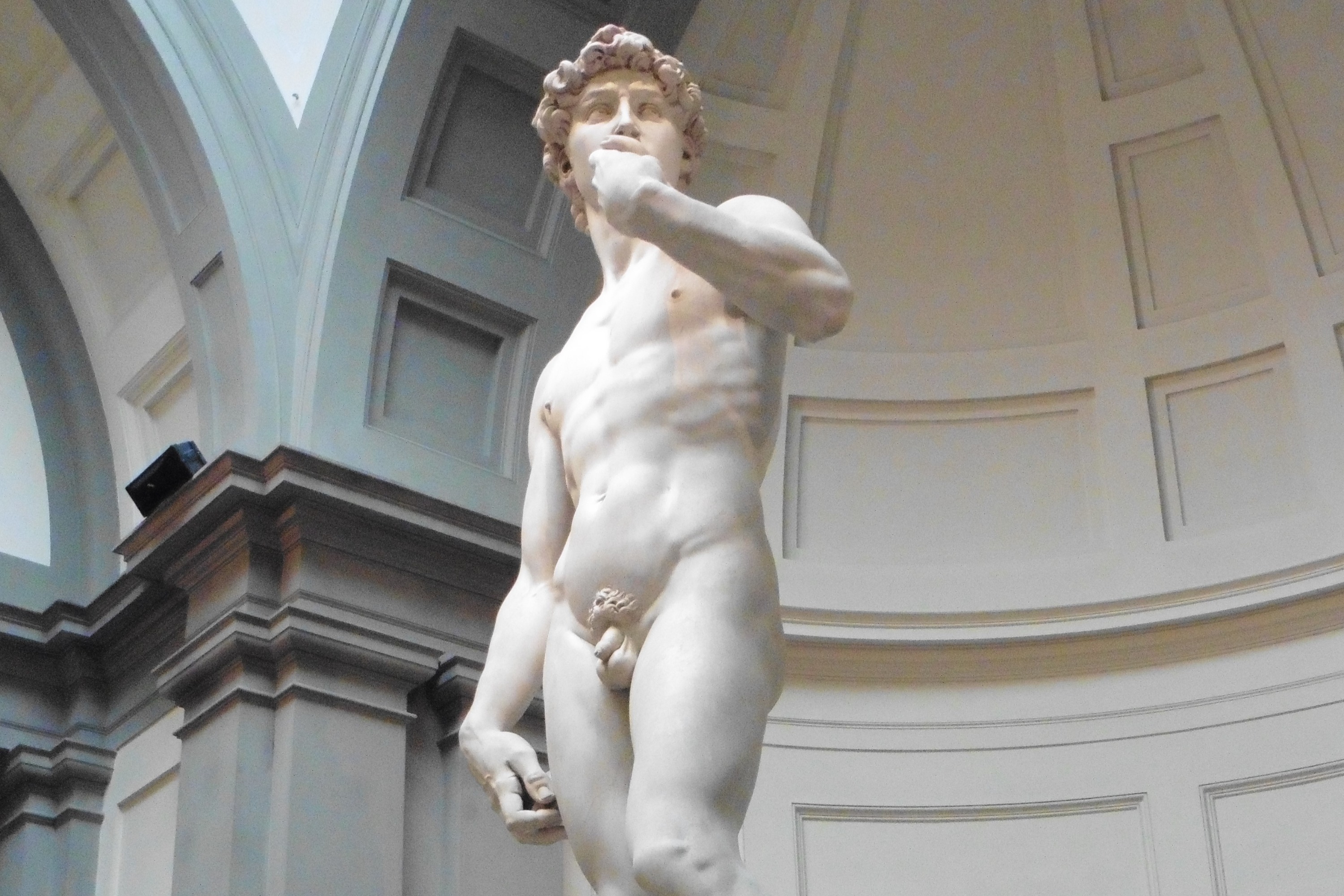 Florence Walking Tour with Accademia Gallery Skip-the-Line Access