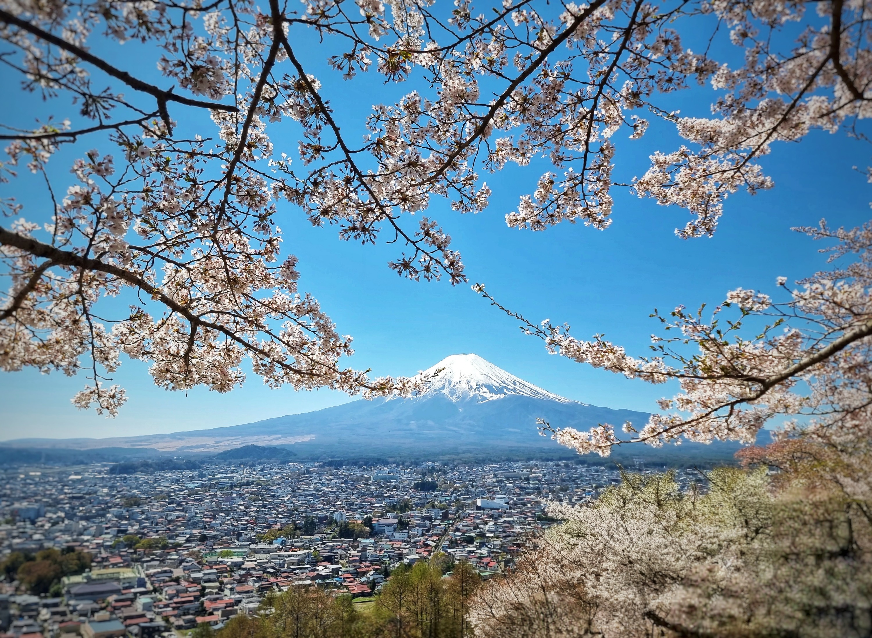 富士山 &amp; 箱根一日遊（東京出發）