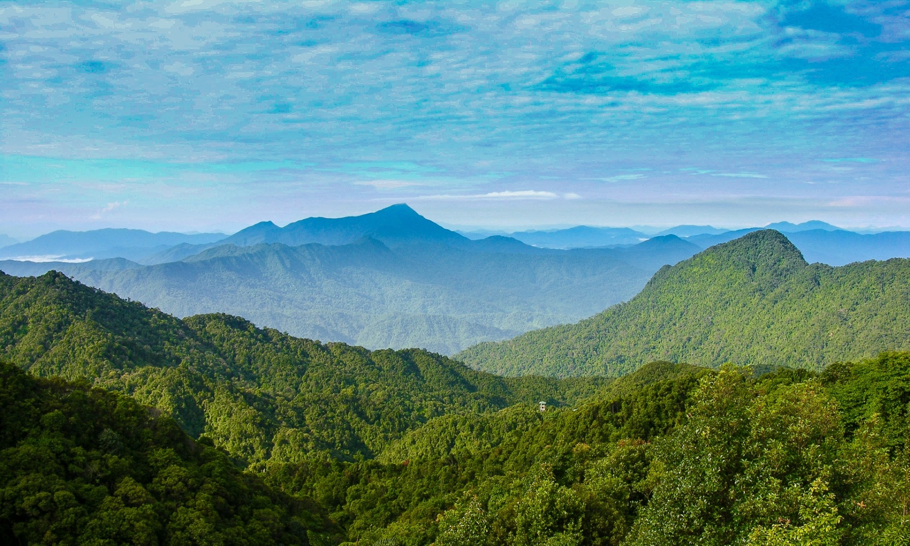 Bach Ma National Park Trekking Day Tour from Hoi An