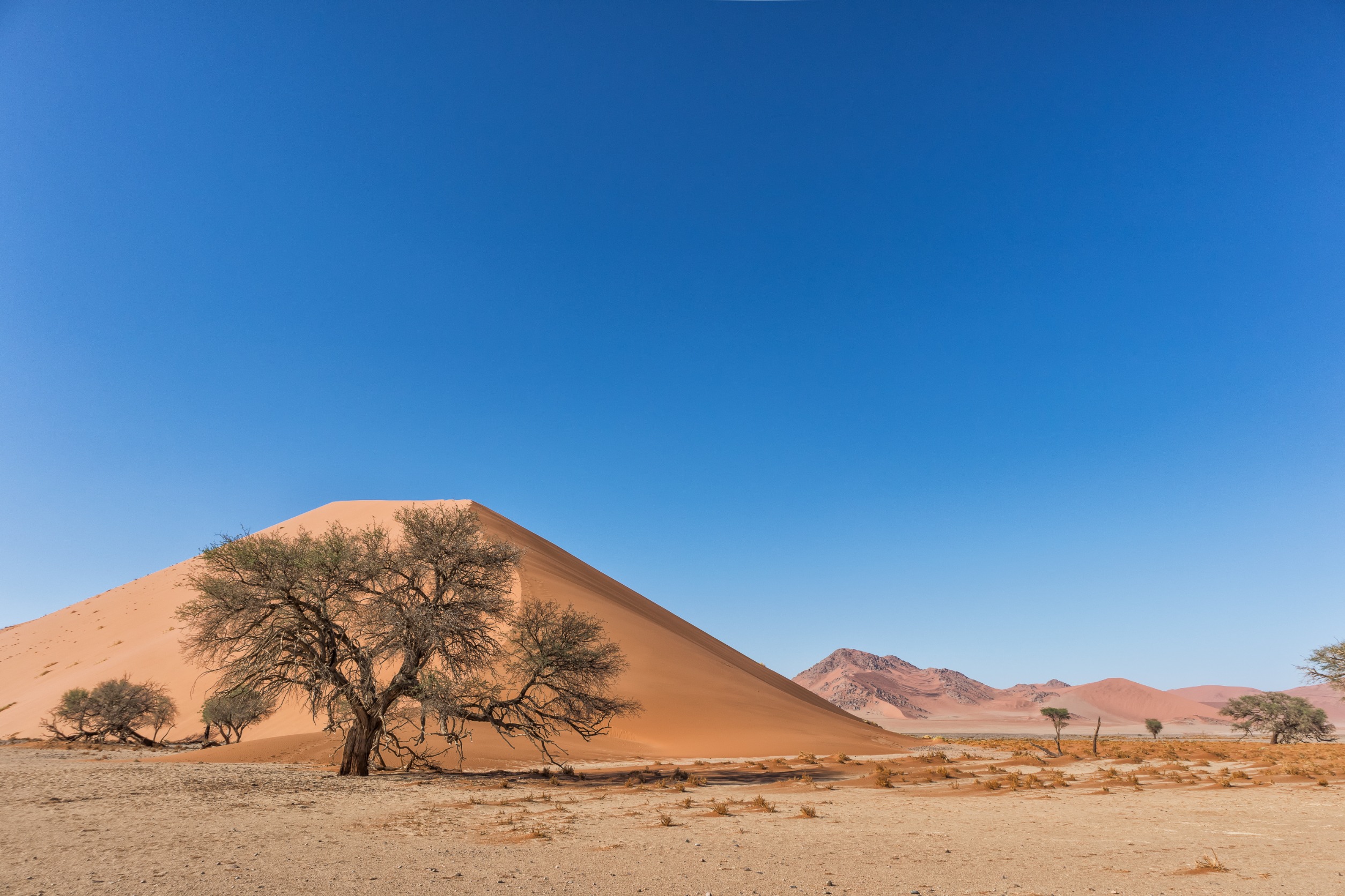 2 Days Private Sahara Tour to Zagora Desert from Agadir