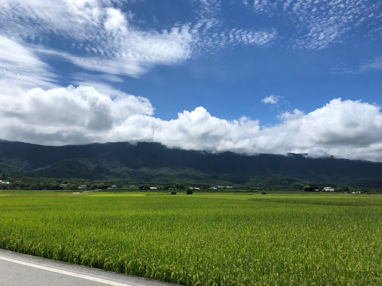 包車遊覽｜台東縱谷線半・一日遊：伯朗大道＆鹿野高台＆利吉惡地