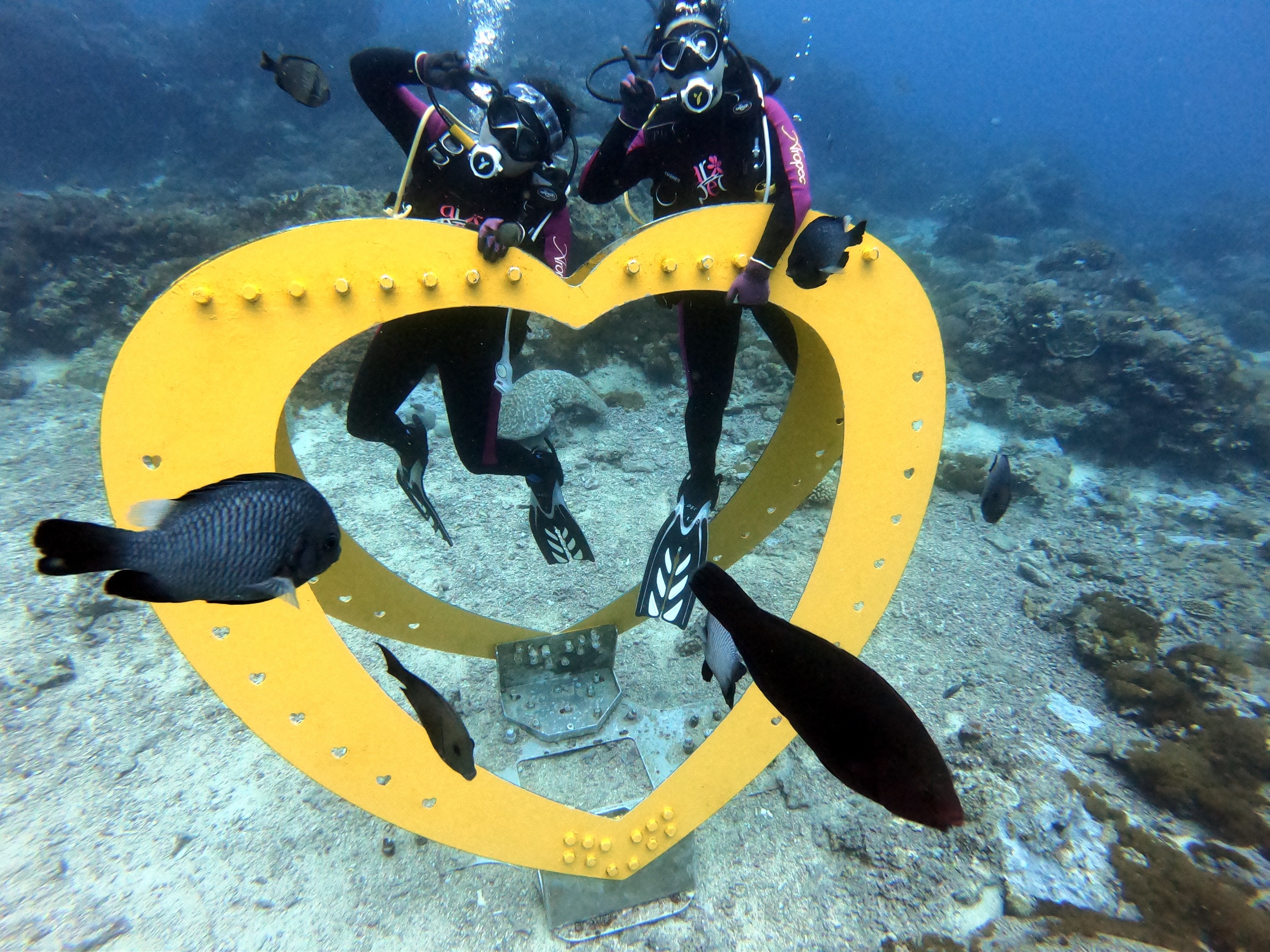 Taitung Green Island: Have fun under the sea and experience diving