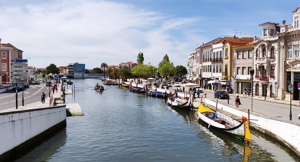 Private Aveiro & Costa Nova Tour with Moliceiro Boat (Half-day)