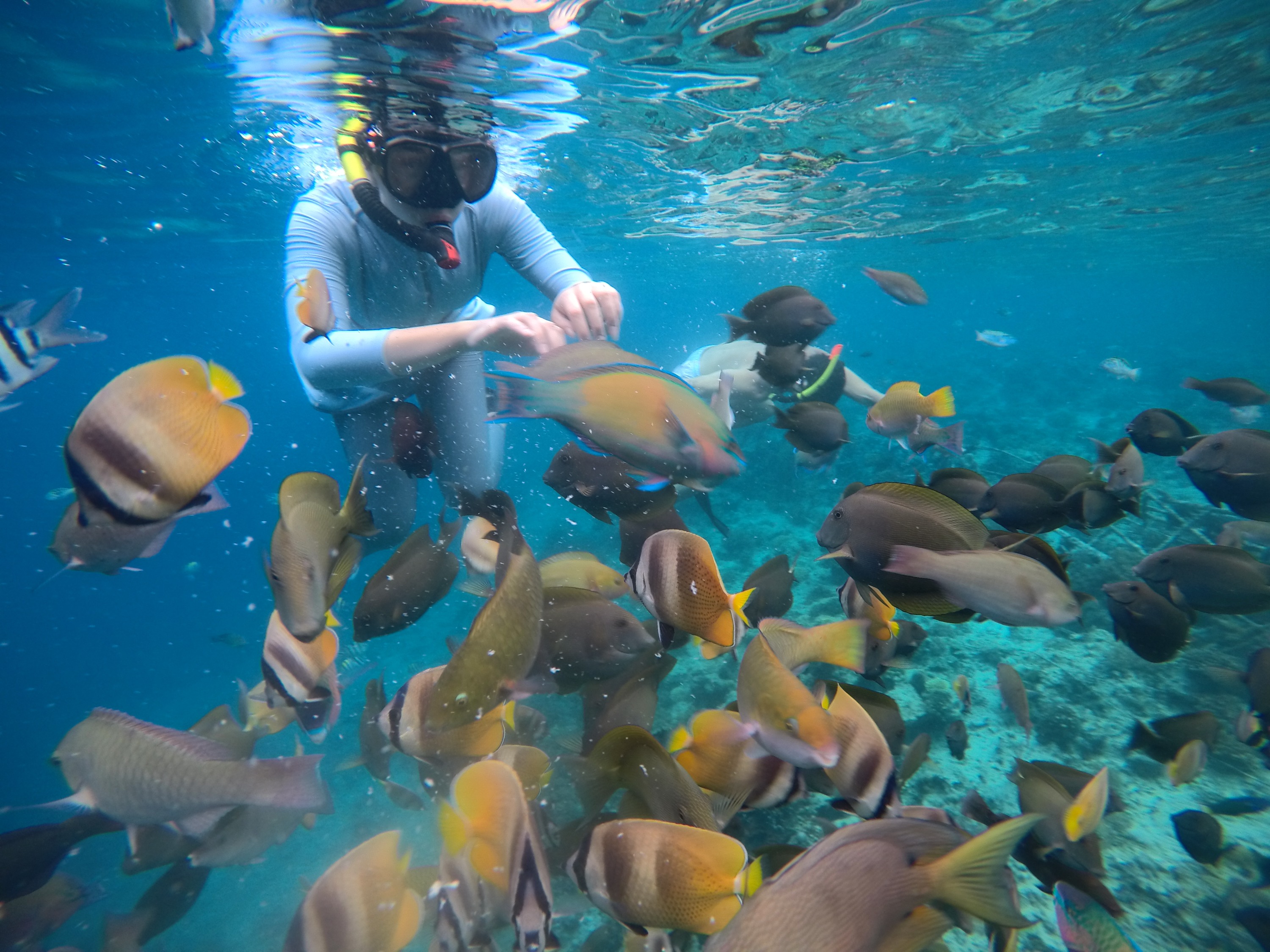 龍目島Gili Air島浮潛之旅