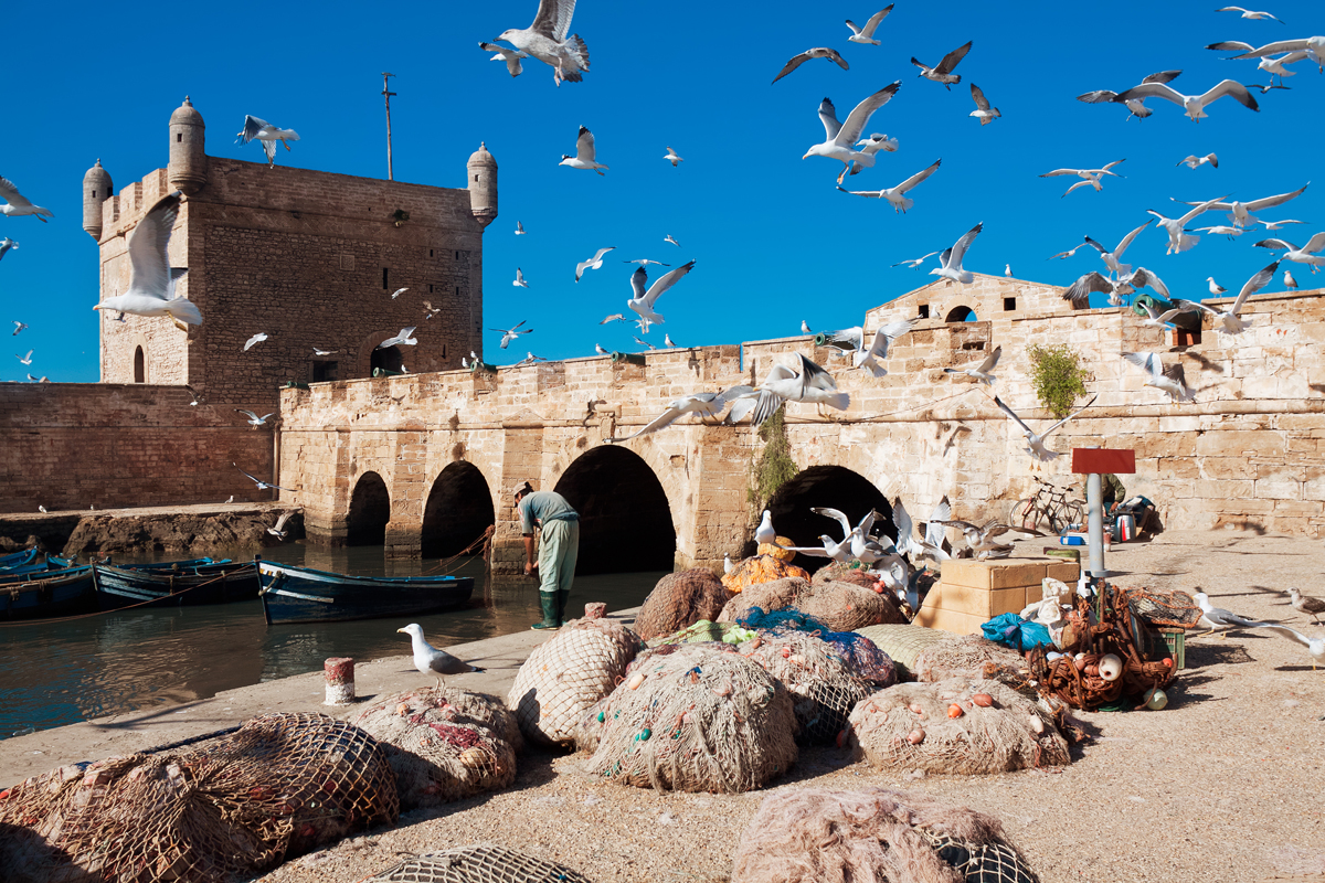 Discover Essaouira: Guided Day Trip from Marrakech 