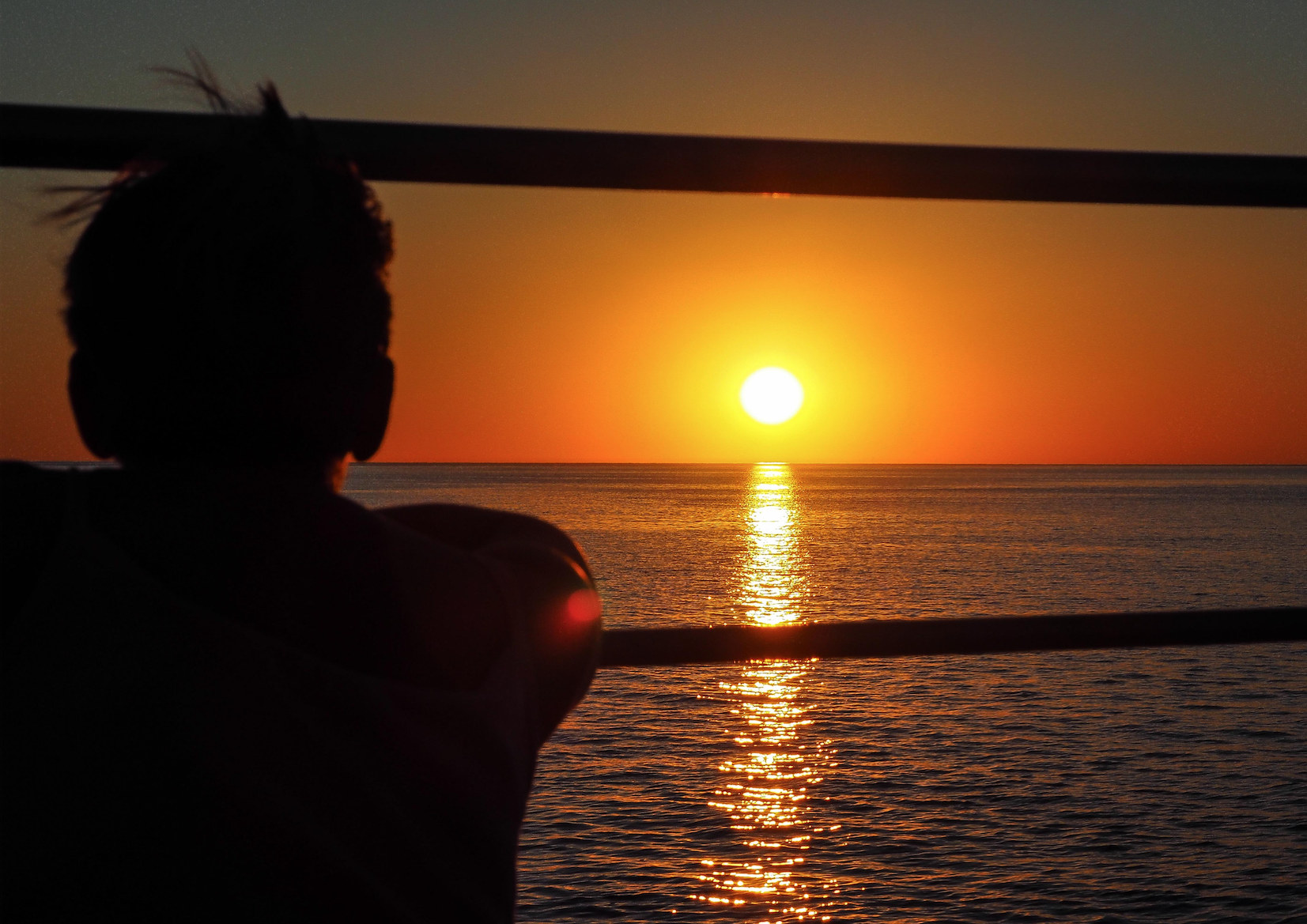 澳洲短鰭海豚夕陽遊船（布魯姆出發）