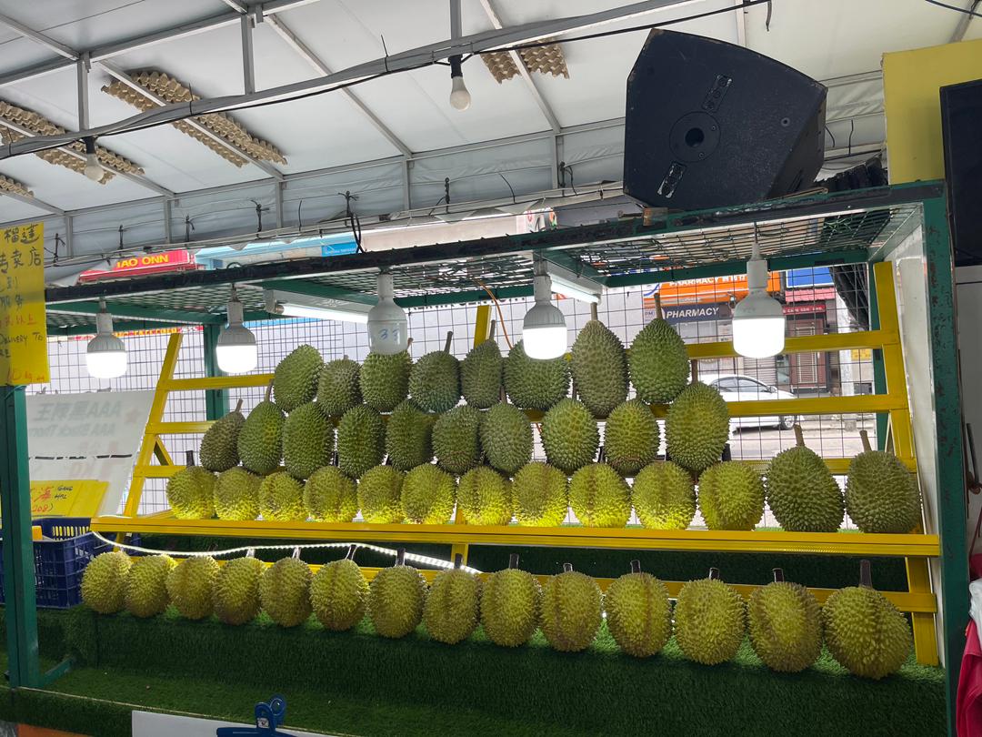 Old Tree Musang King Durian at 333 Durian Johor Bahru