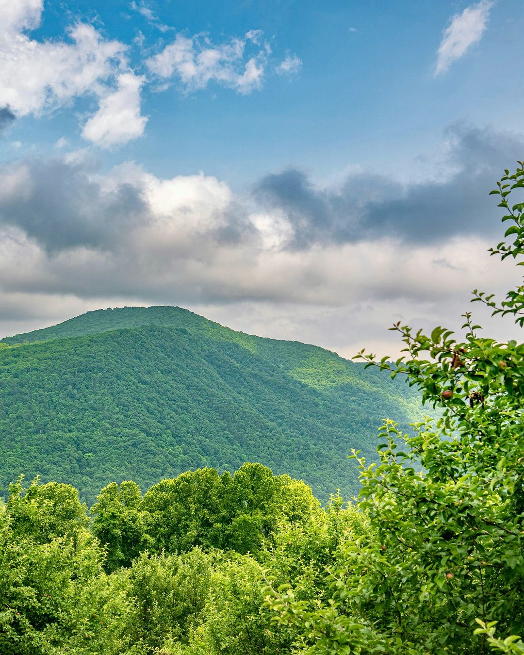 Baku-Guba Shahdag Candy Canes Mountain Nature Tour FREE NIGHT TOUR