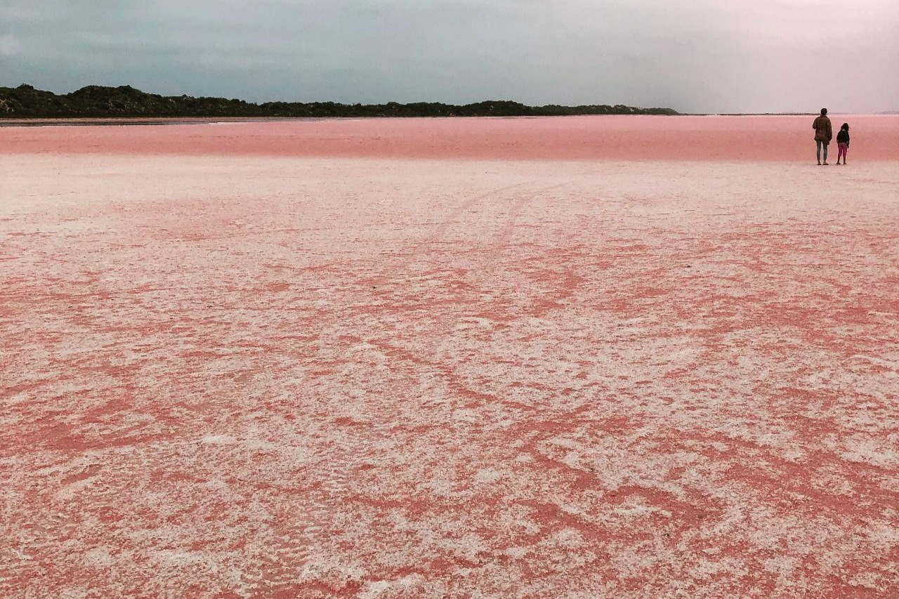粉紅湖探索之旅