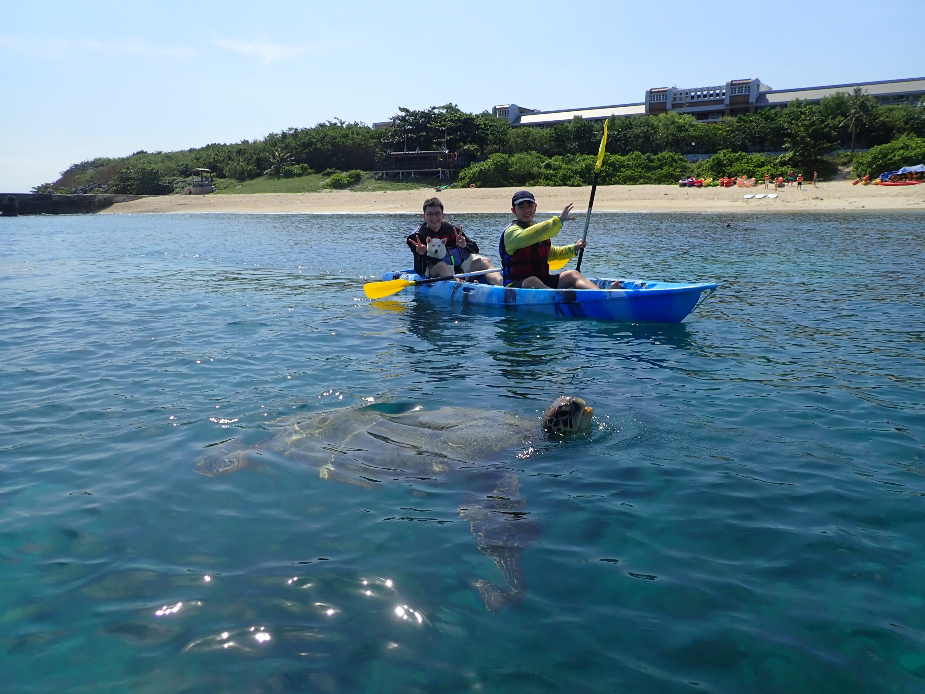 Pingtung: Xiaoliuqiu Little Turtle Water Sports/Snorkeling/Canoeing/SUP Board/Experience Deep Diving